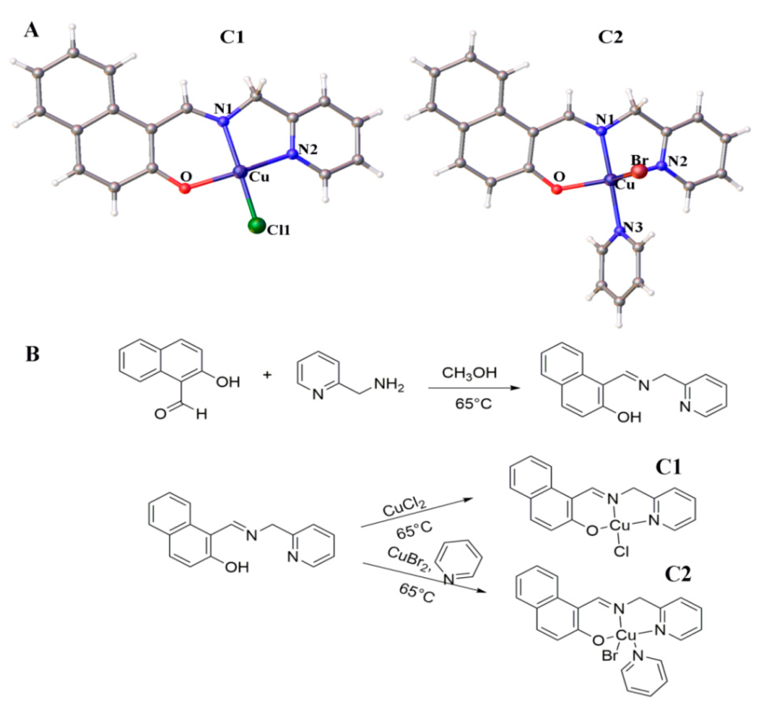 Molecules 26 06070 g001