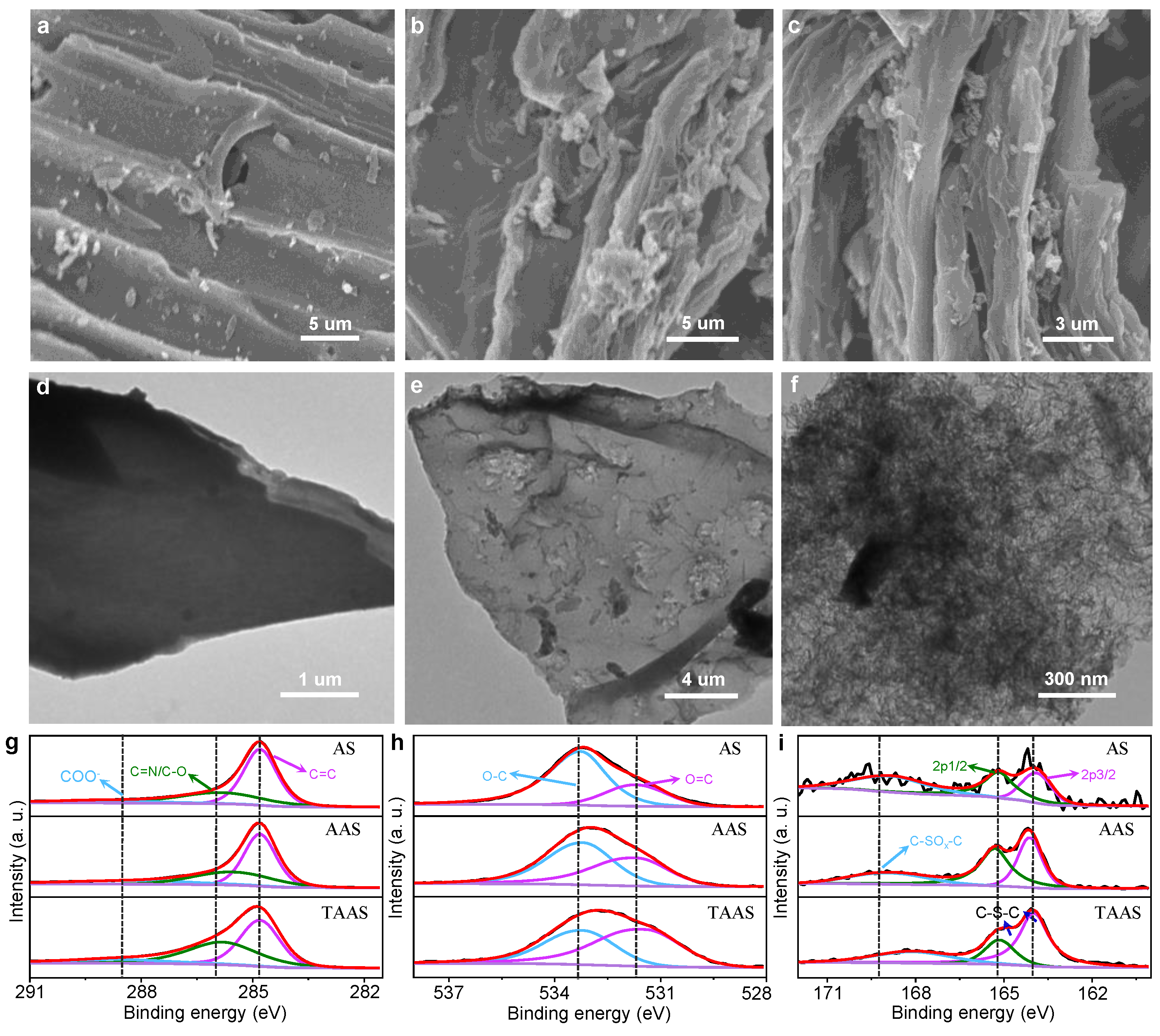 Molecules 26 06071 g001 550