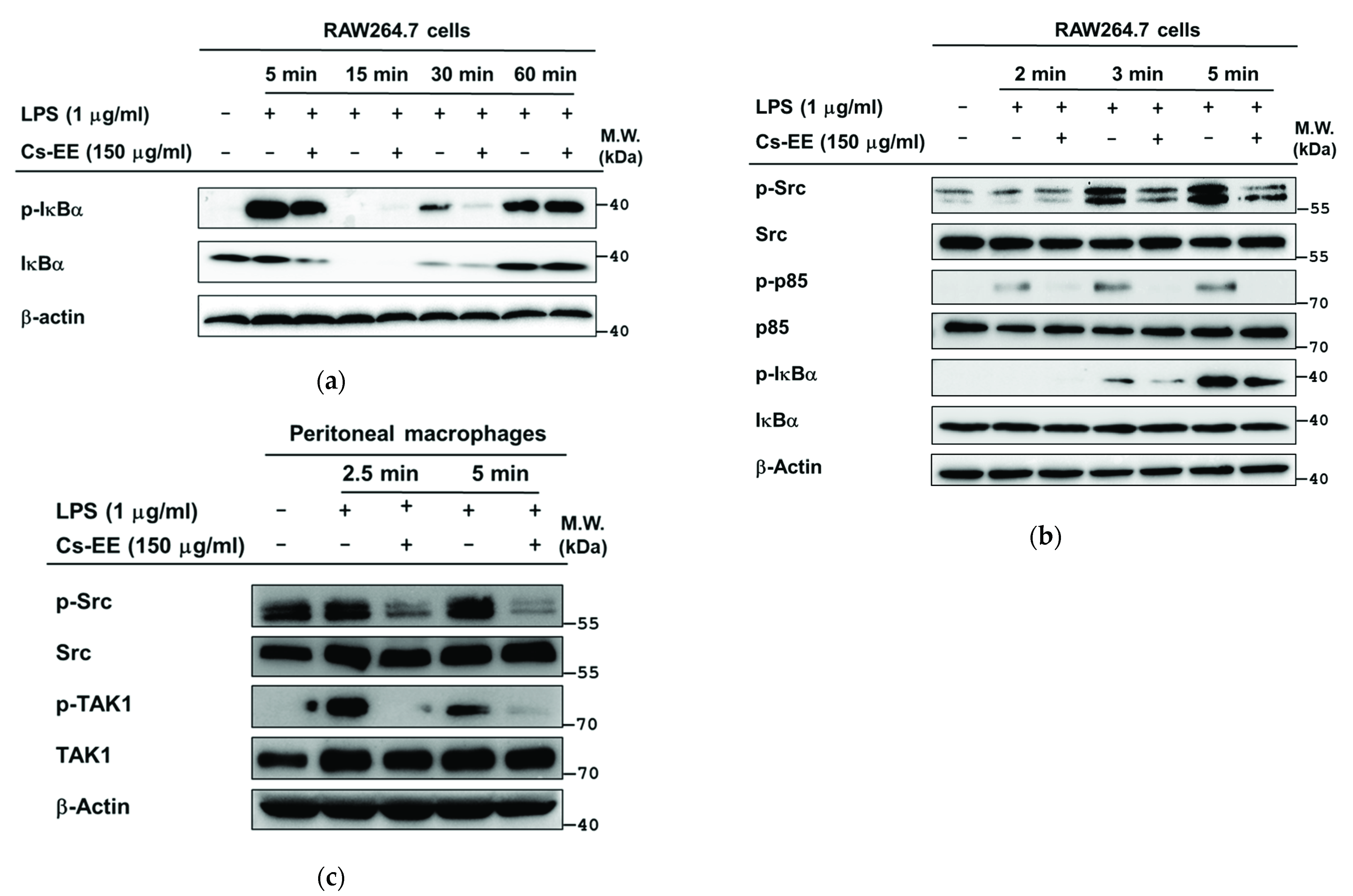 Molecules 26 06073 g004a