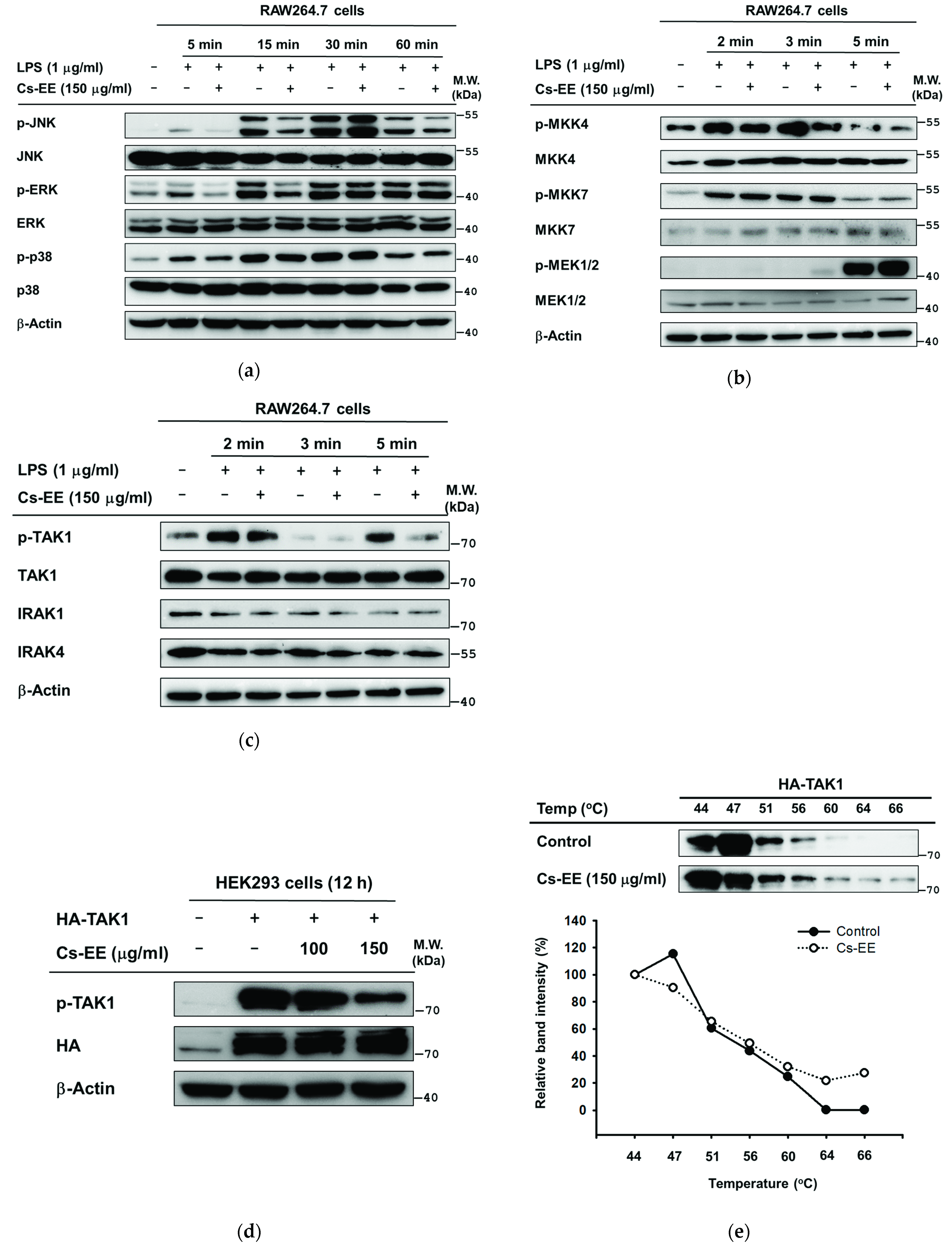 Molecules 26 06073 g005