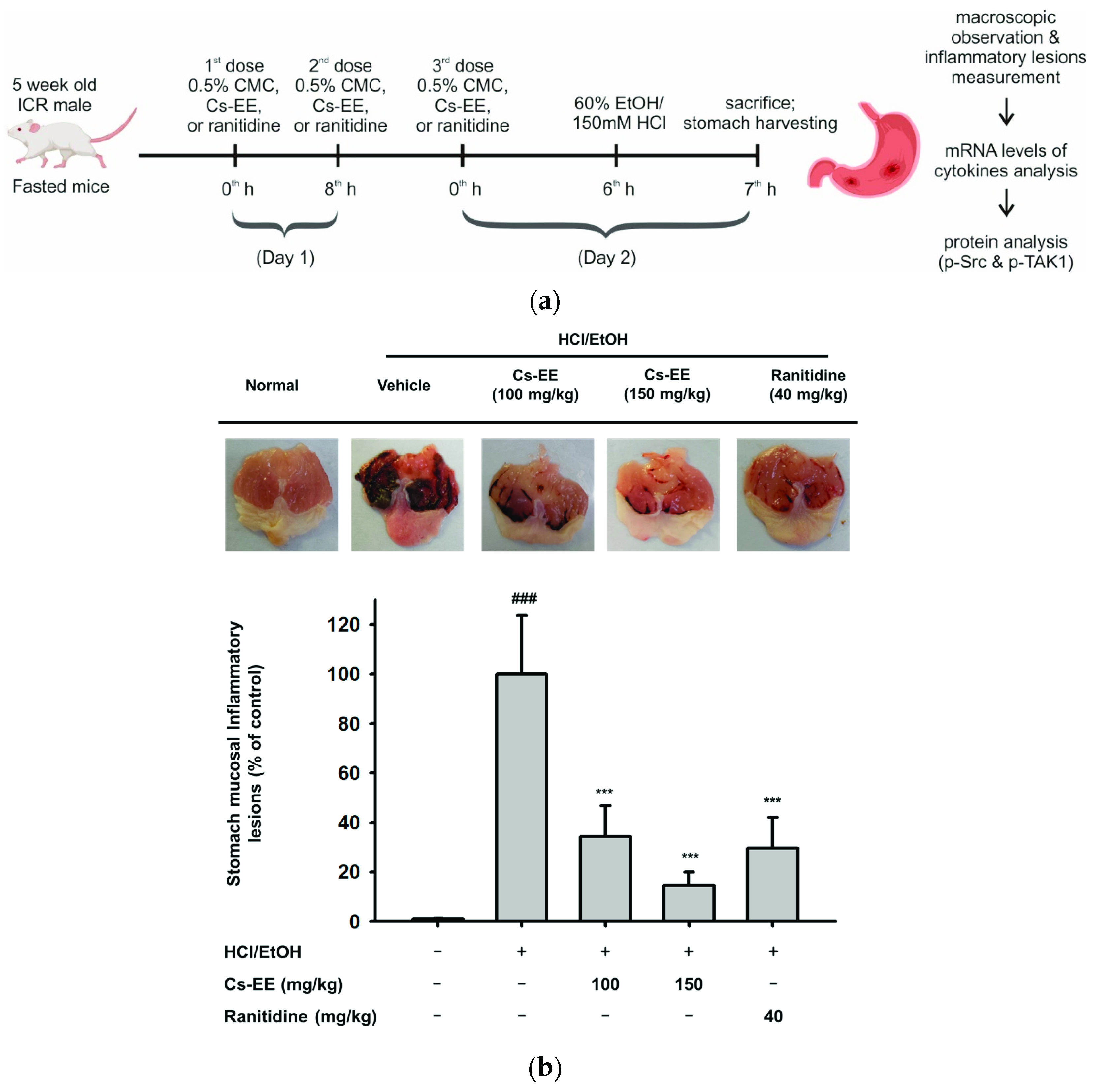 Molecules 26 06073 g006a