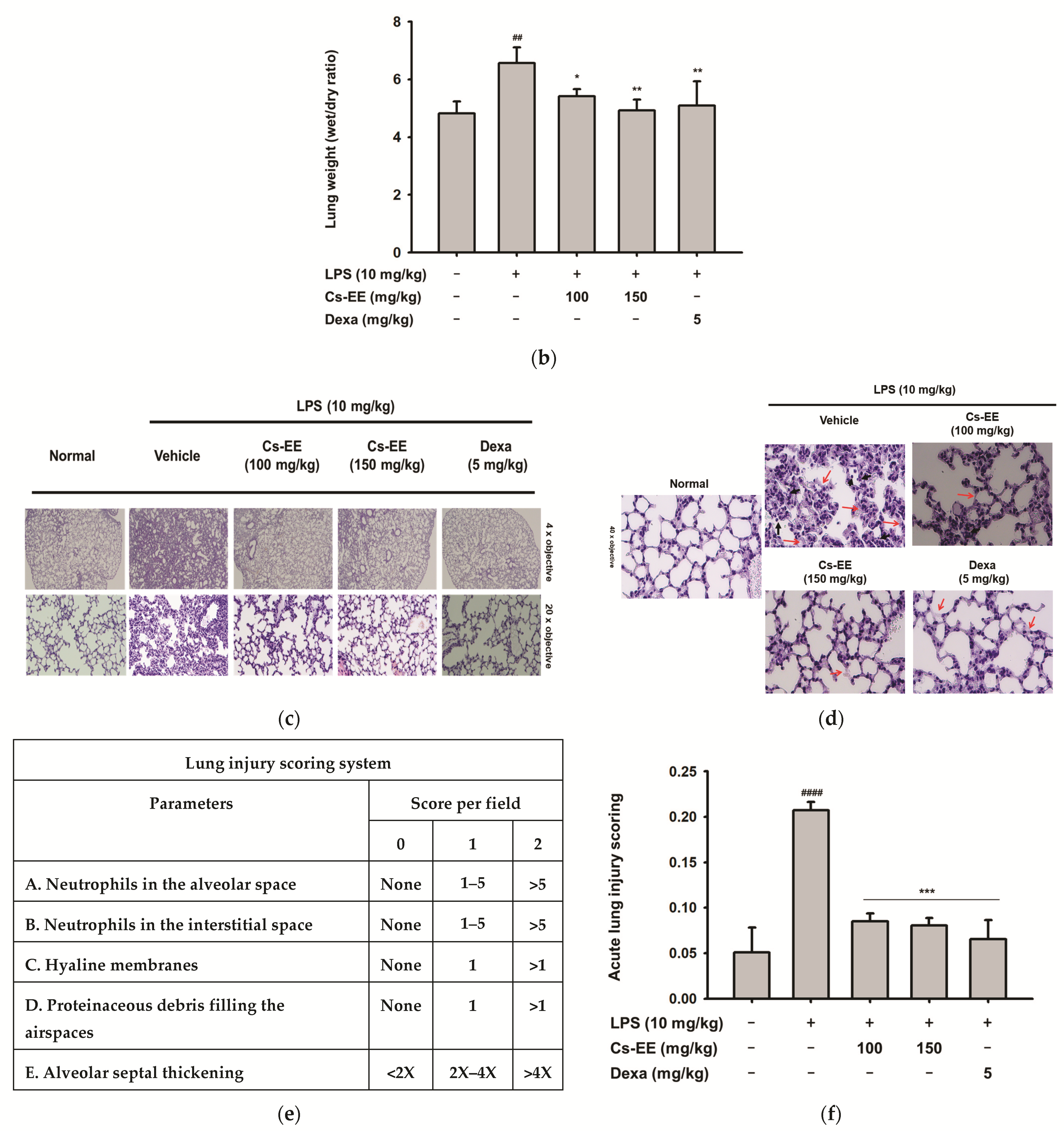 Molecules 26 06073 g007b