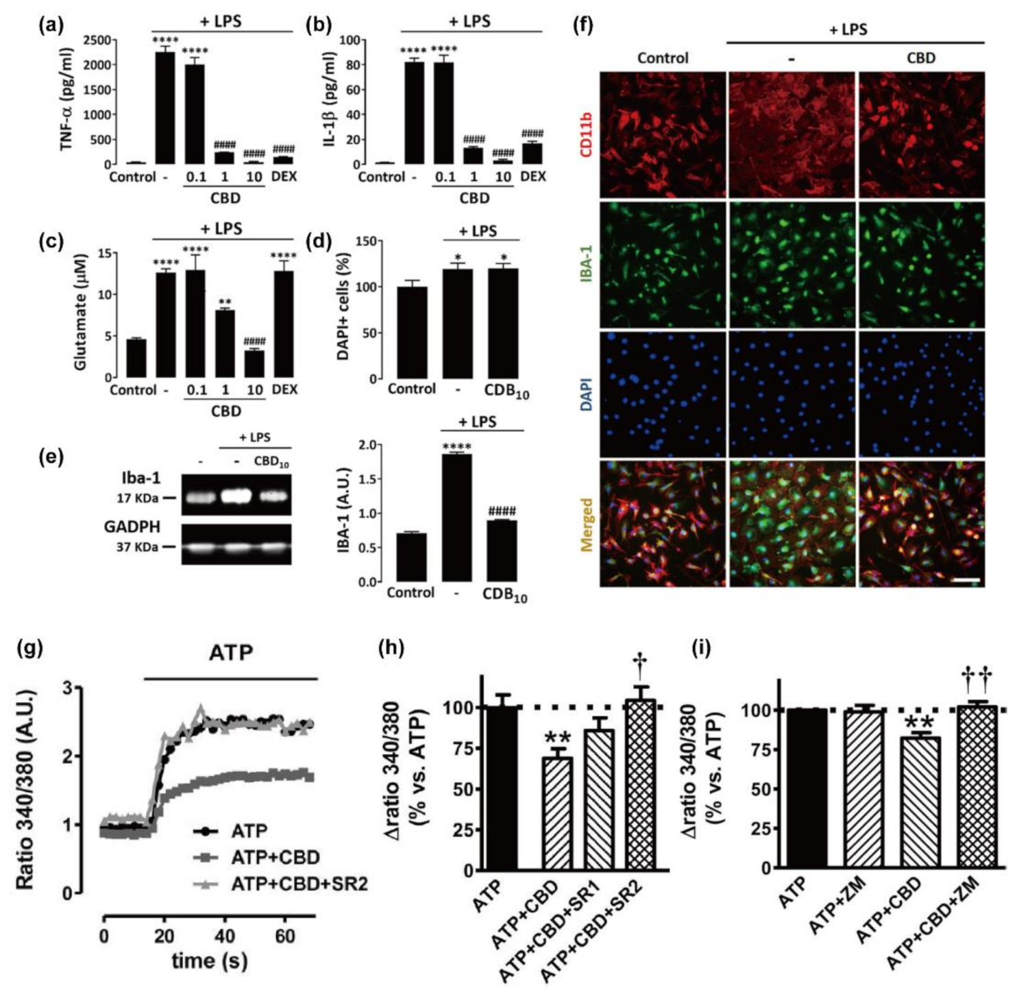Molecules 26 06077 g004