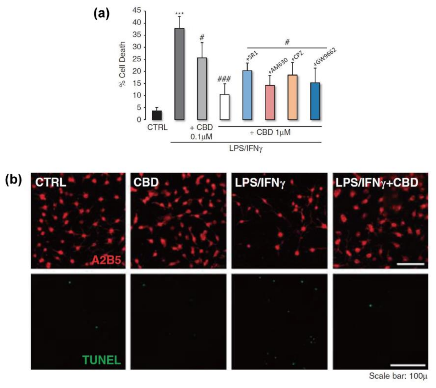 Molecules 26 06077 g006