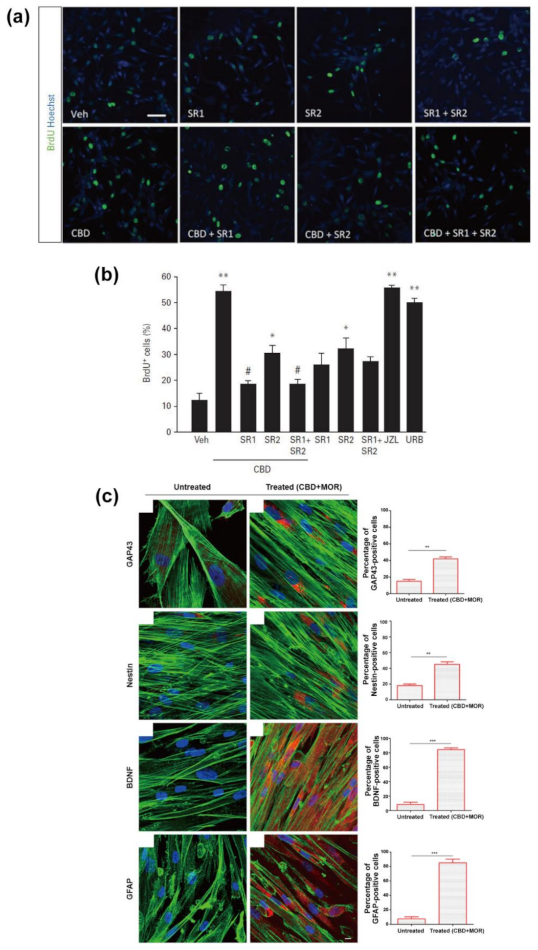 Molecules 26 06077 g007