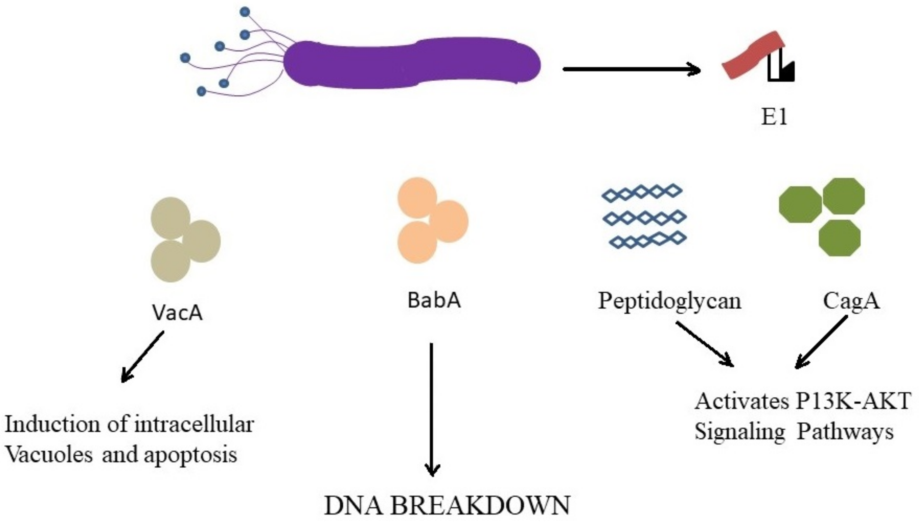 Molecules 26 06078 g001