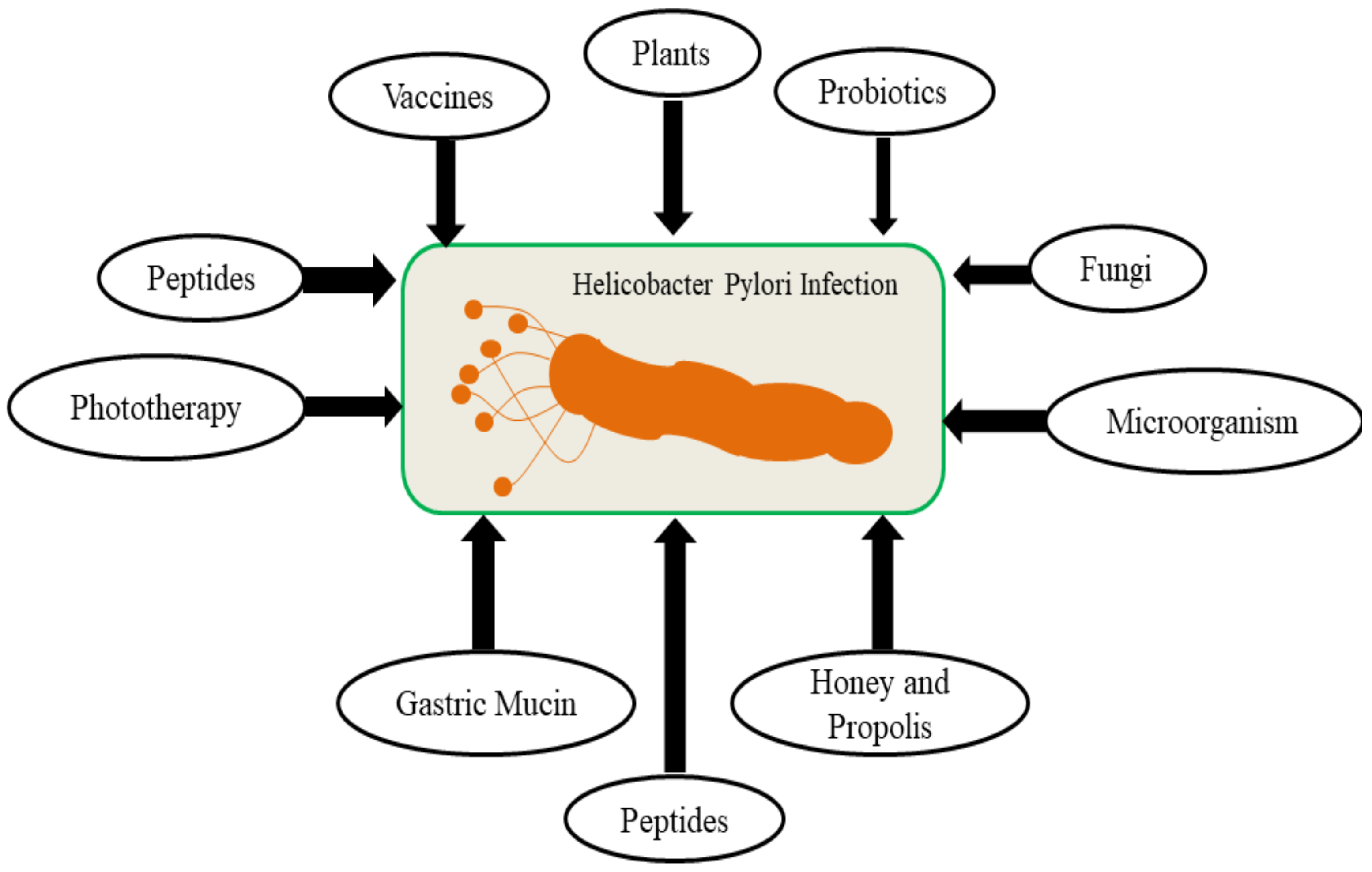 Se puede comer pan con helicobacter pylori