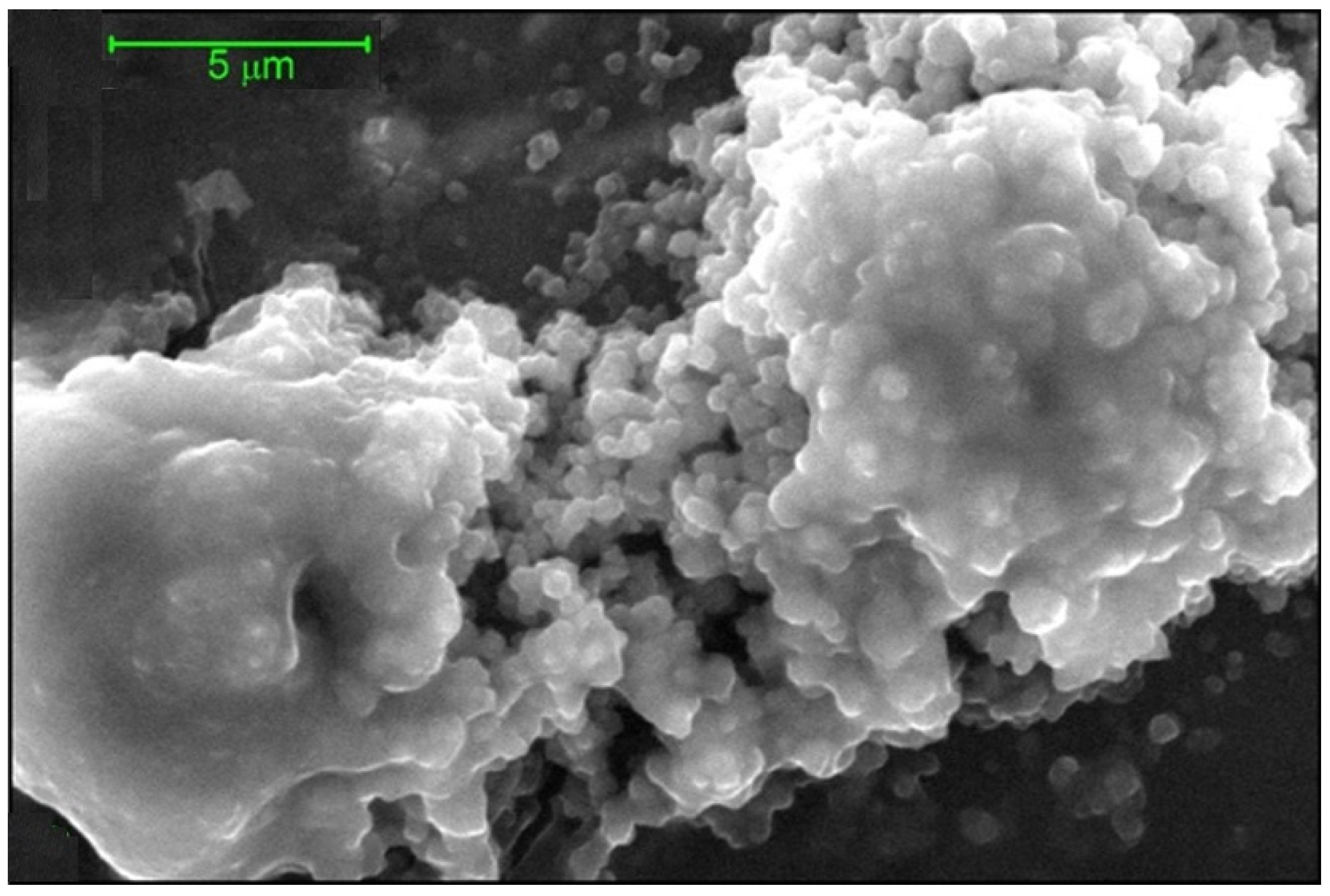 Molecules 26 06080 g008
