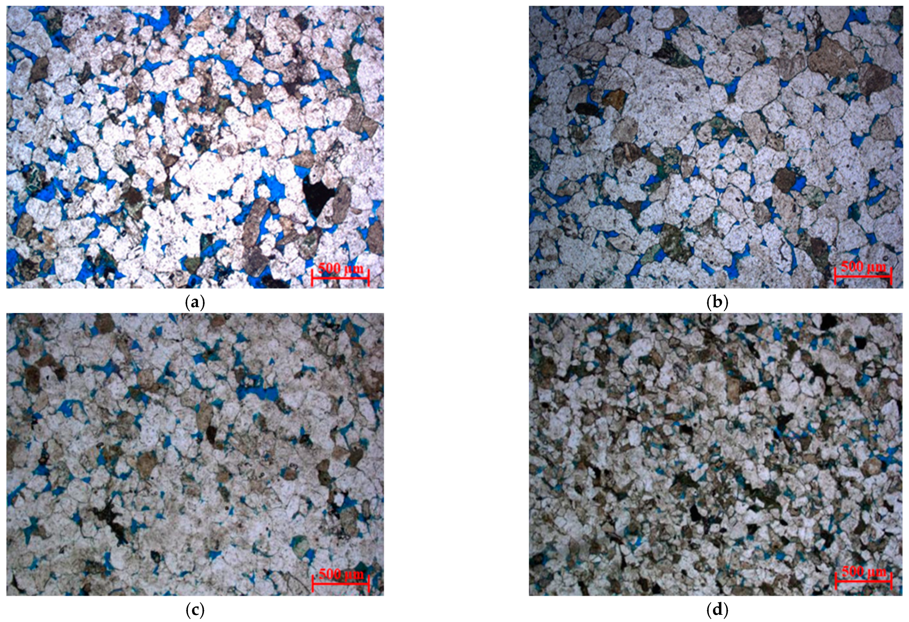 Molecules 26 06082 g004 550