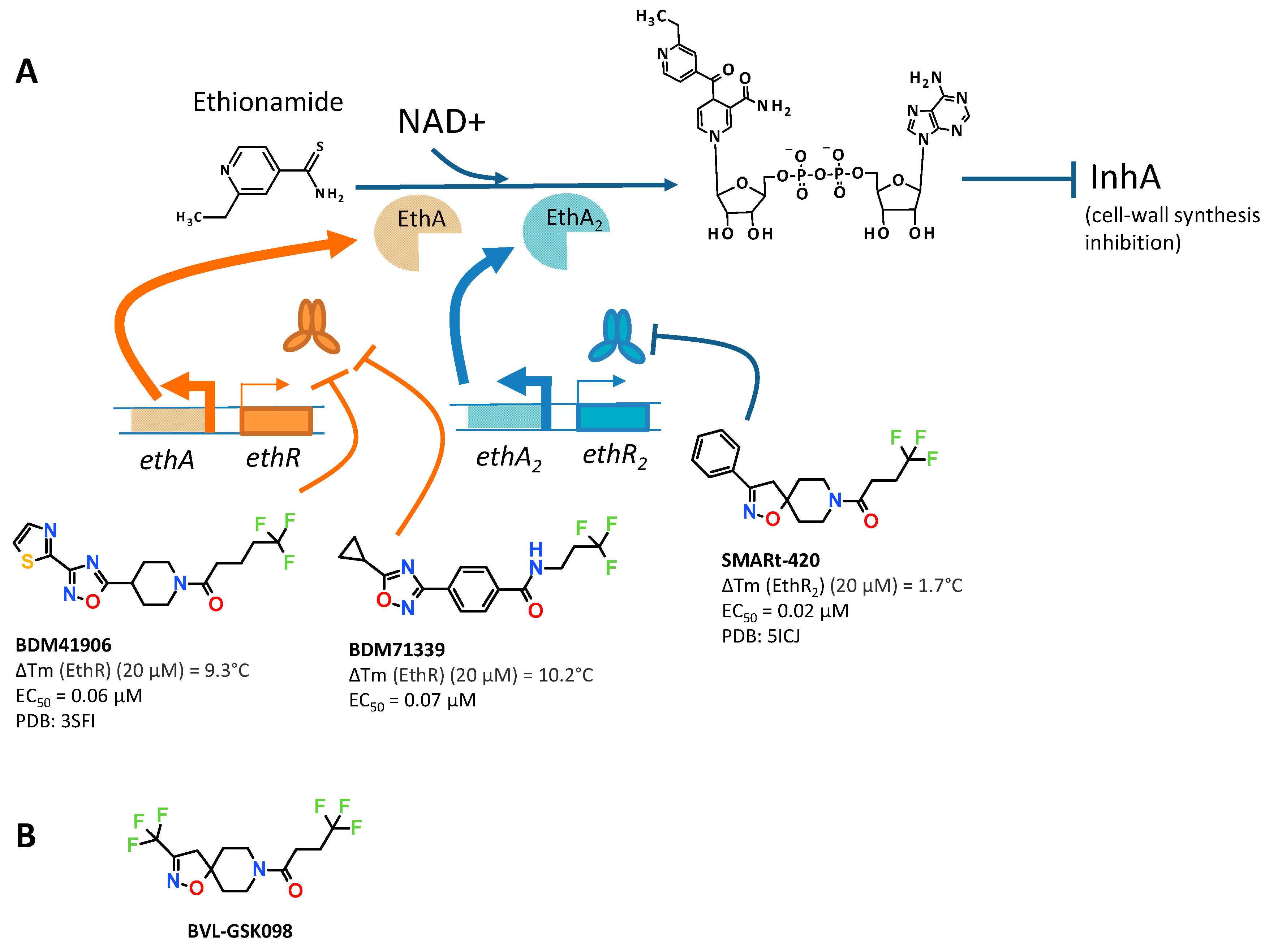 Molecules 26 06083 g001