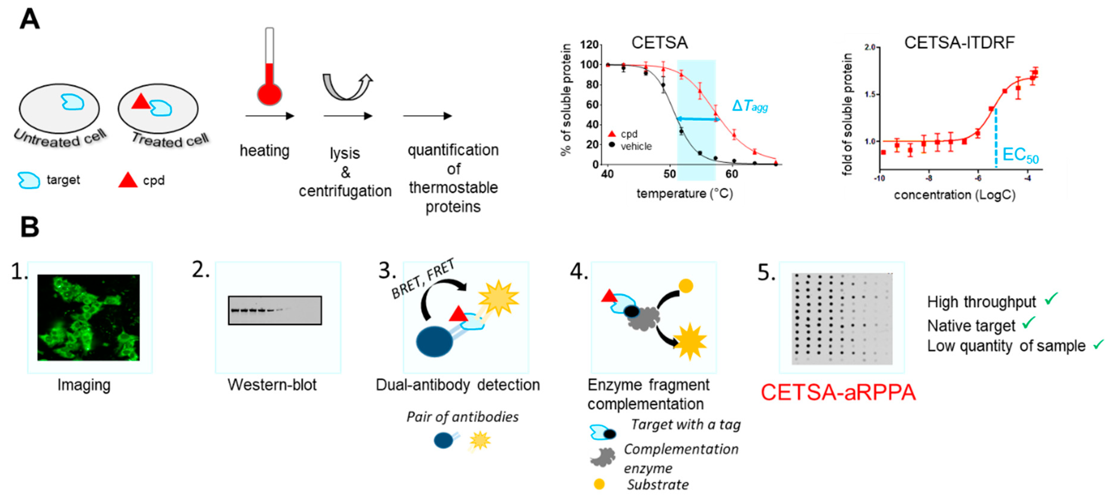 Molecules 26 06083 g002