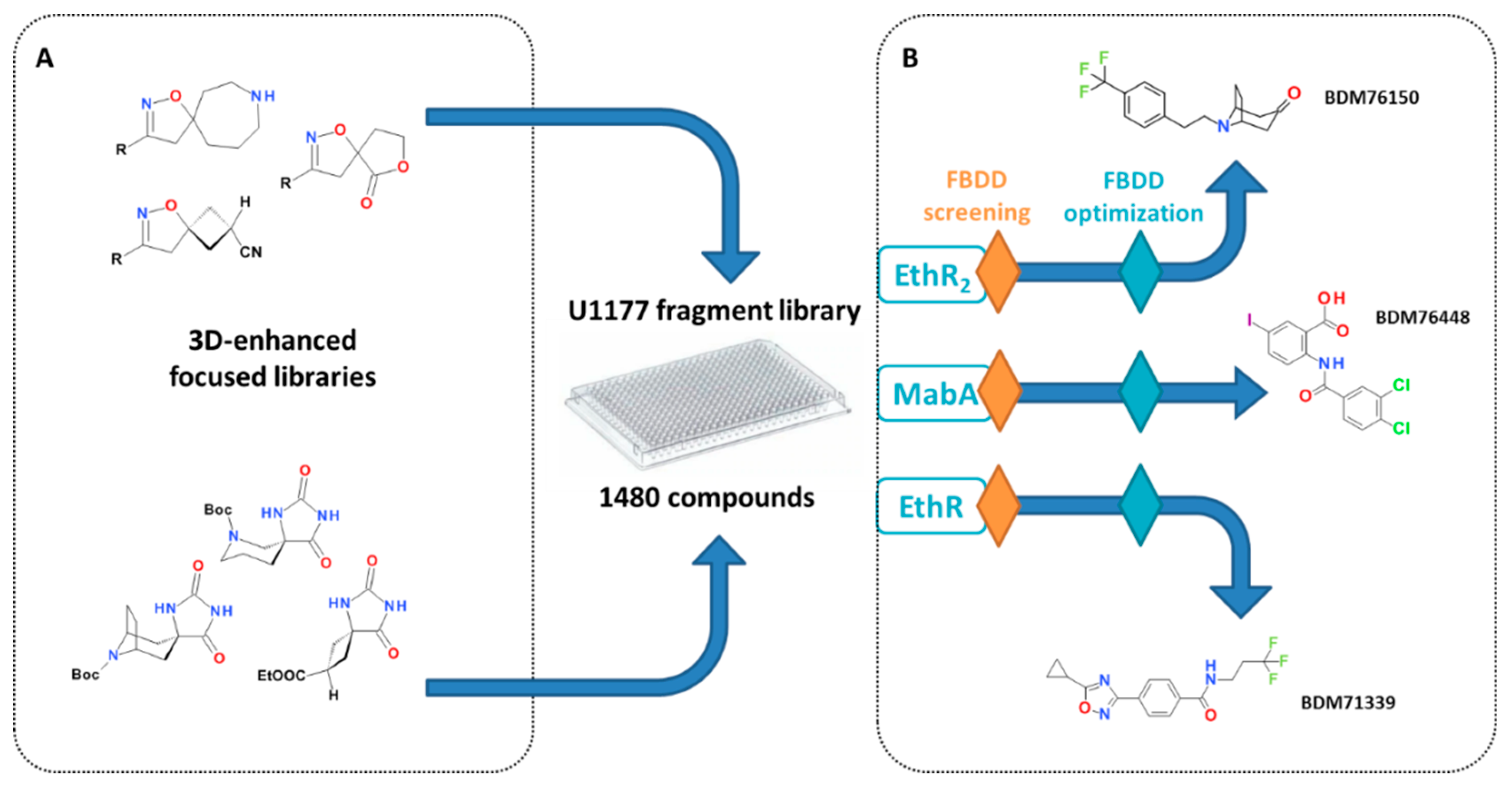 Molecules 26 06083 g005