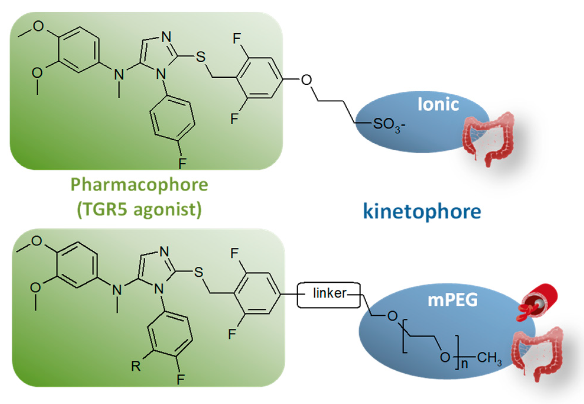 Molecules 26 06083 g006