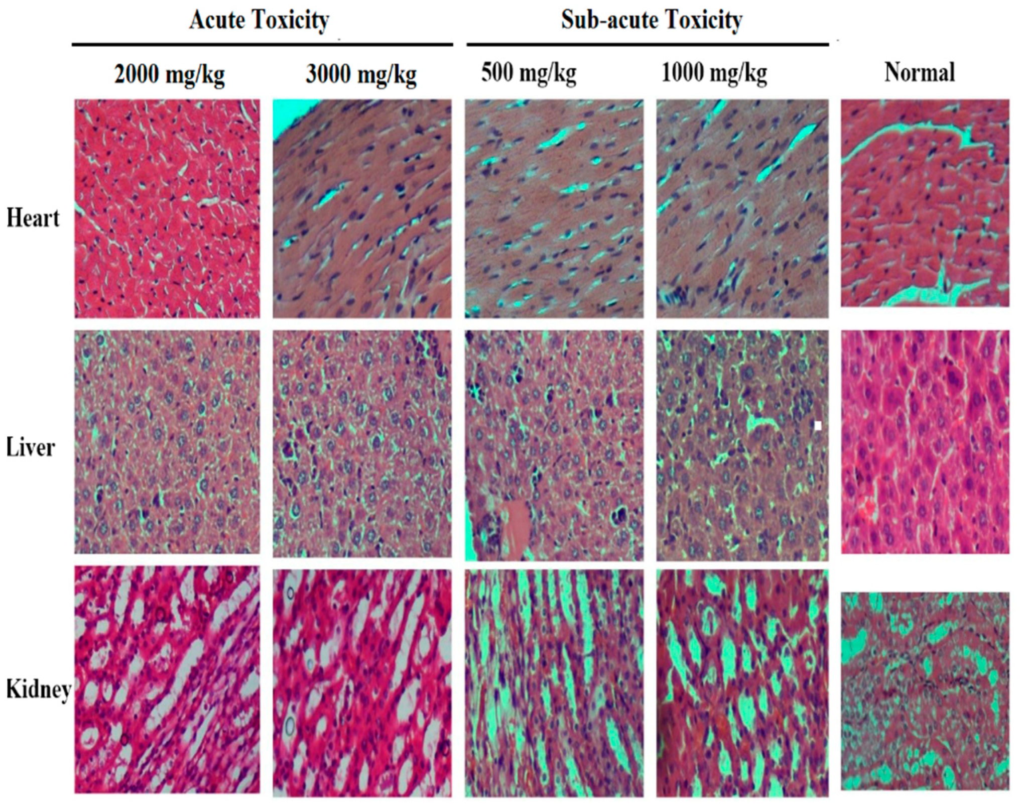 Molecules 26 06084 g005 Molecules 26 06084 g005