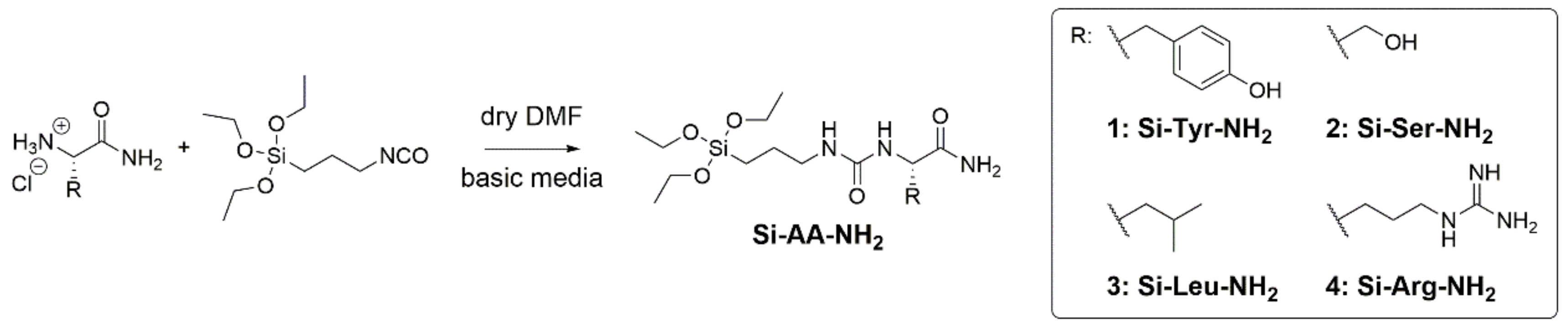 Molecules 26 06085 g001