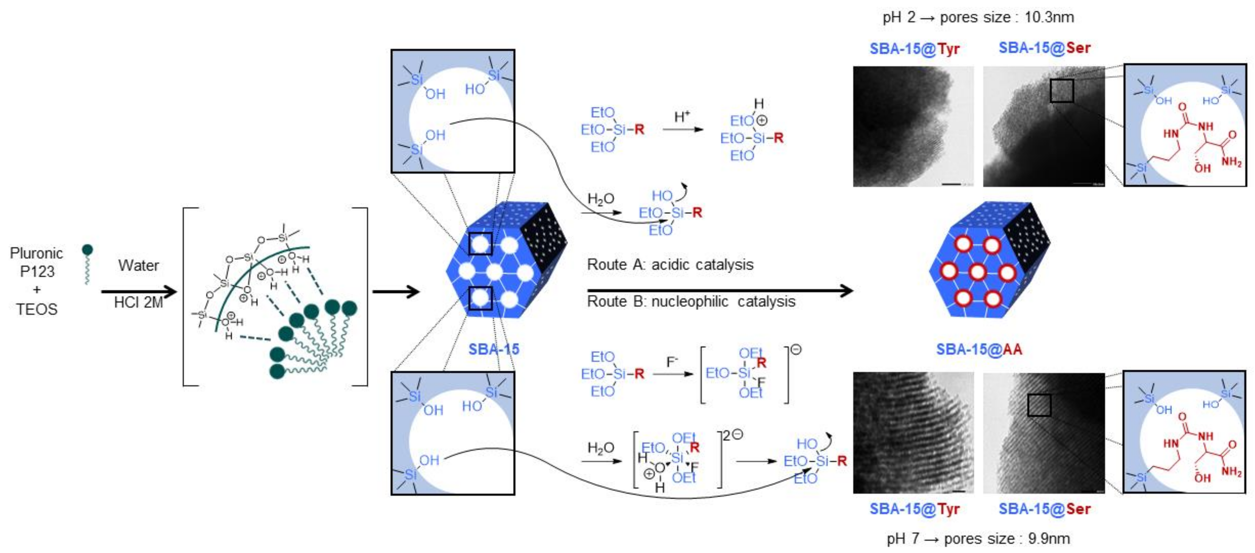 Molecules 26 06085 g005