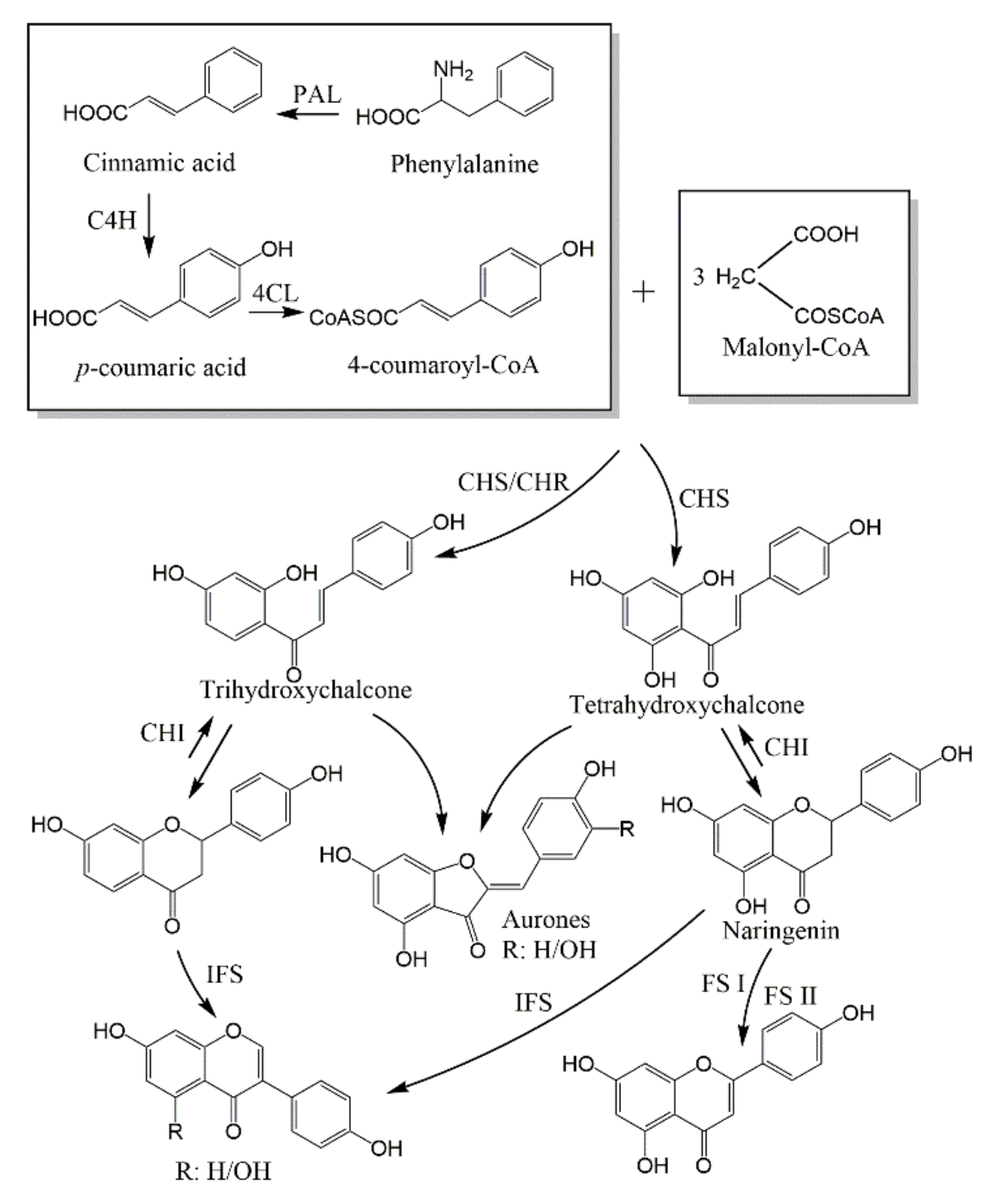 Molecules 26 06088 g013