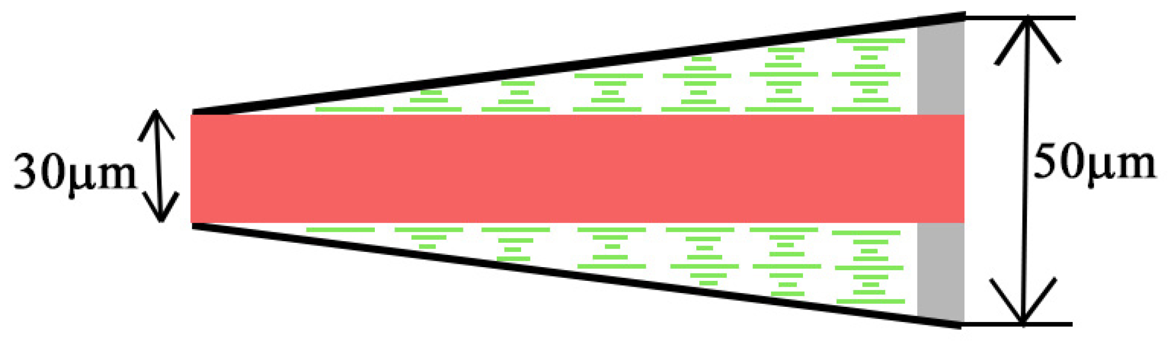 Molecules 26 06089 g001 Molecules 26 06089 g001