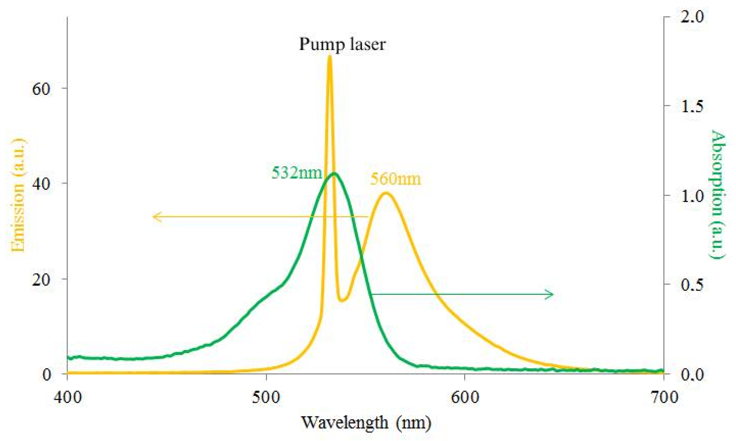 Molecules 26 06089 g002 Molecules 26 06089 g002