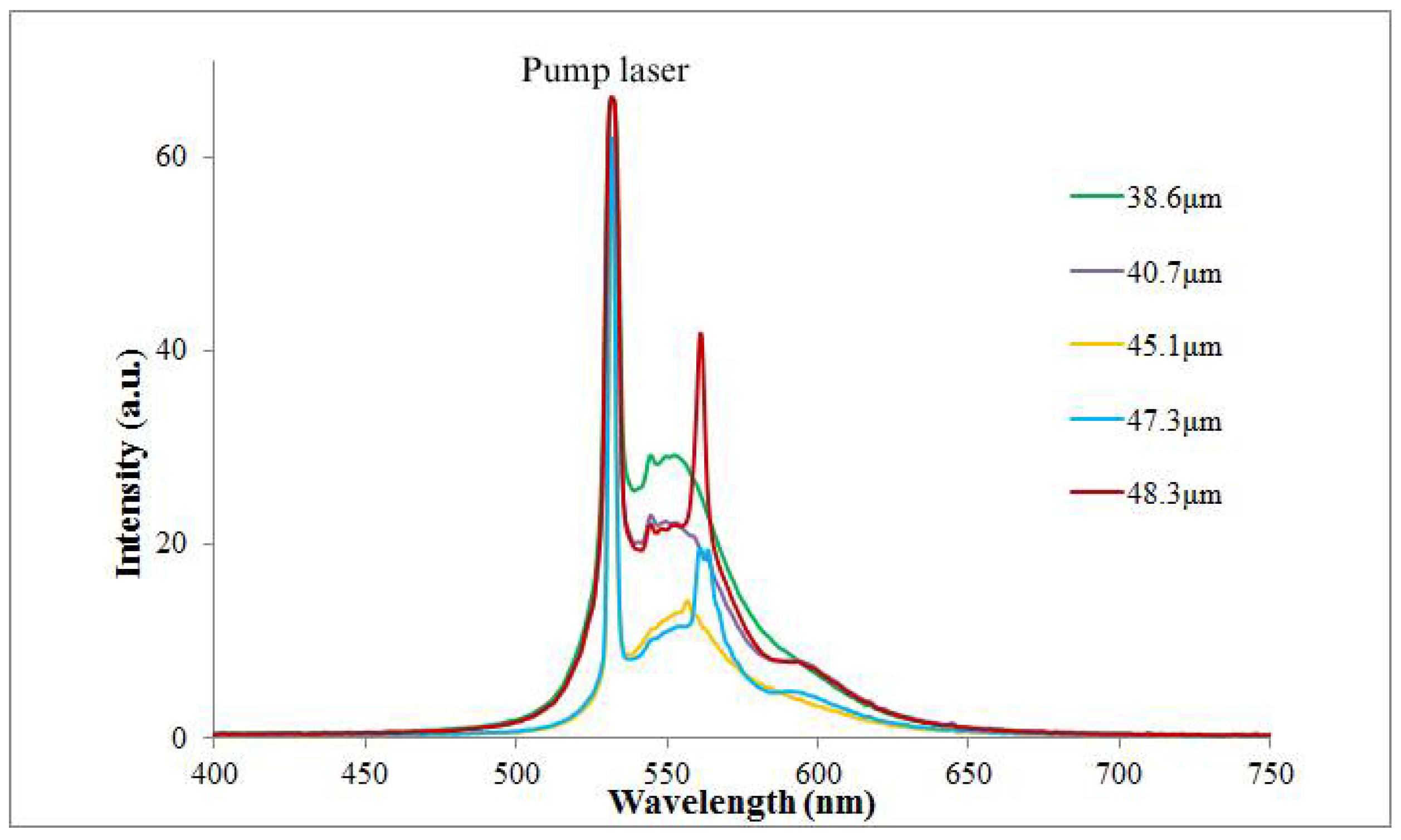 Molecules 26 06089 g006 Molecules 26 06089 g006