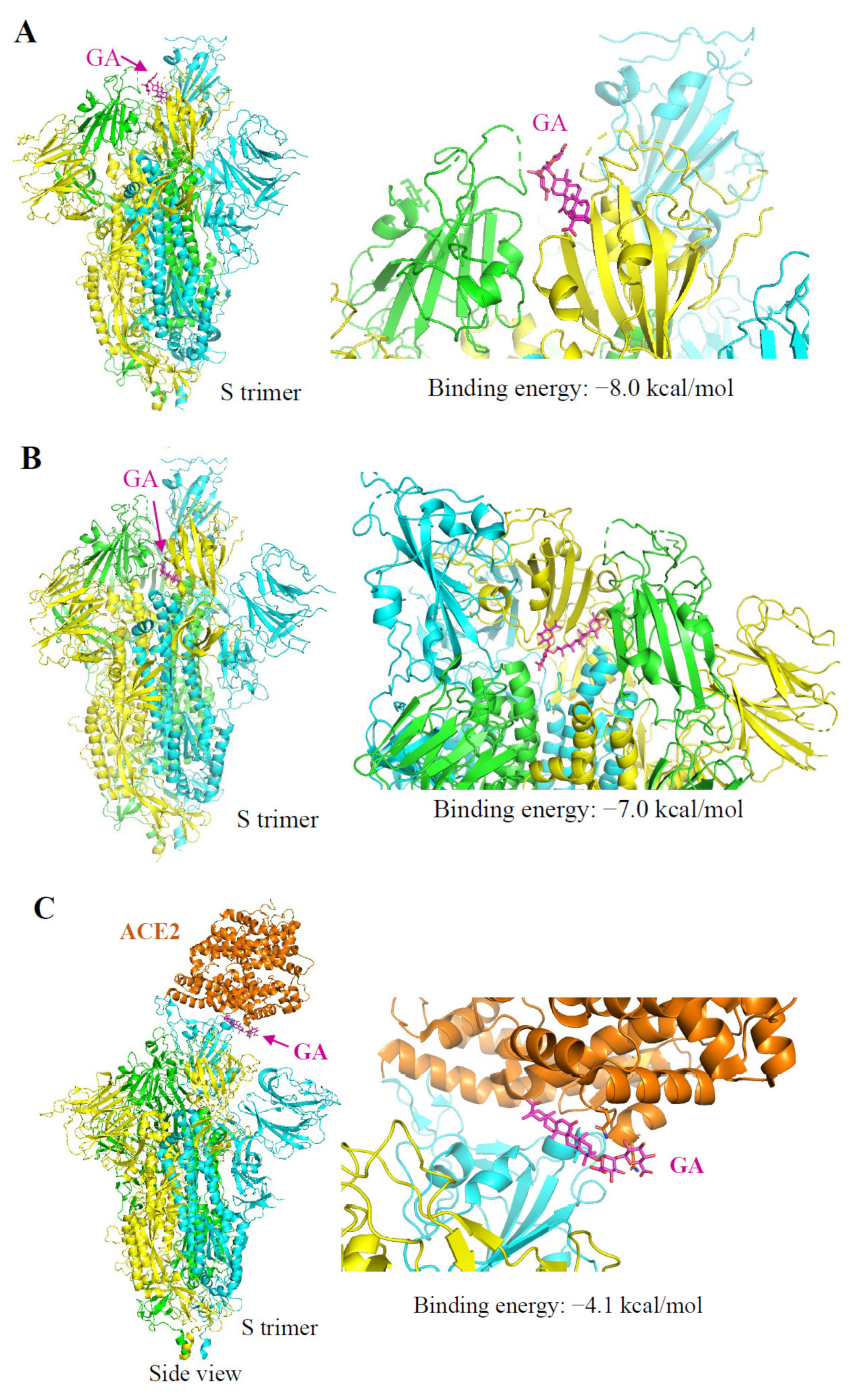 Molecules 26 06090 g005