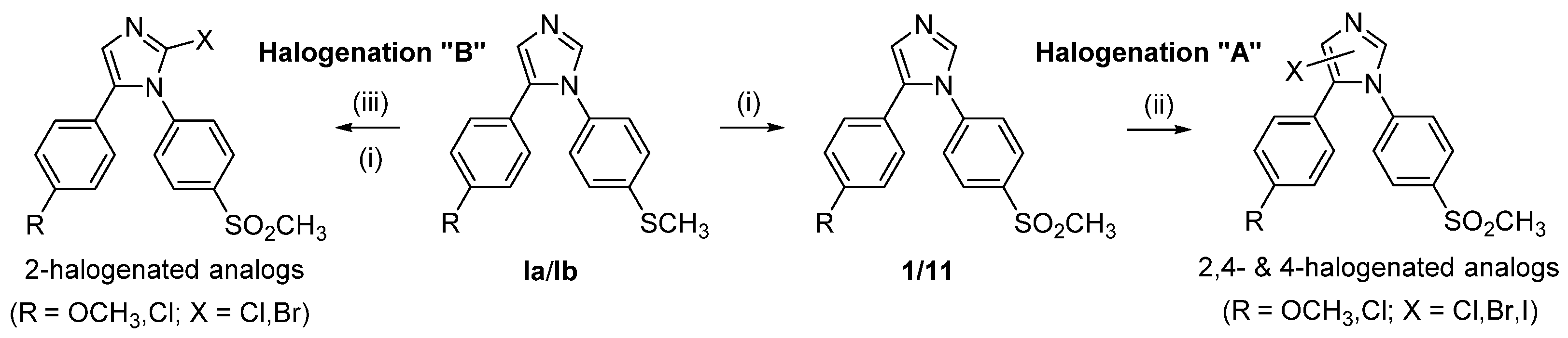 Molecules 26 06093 sch001