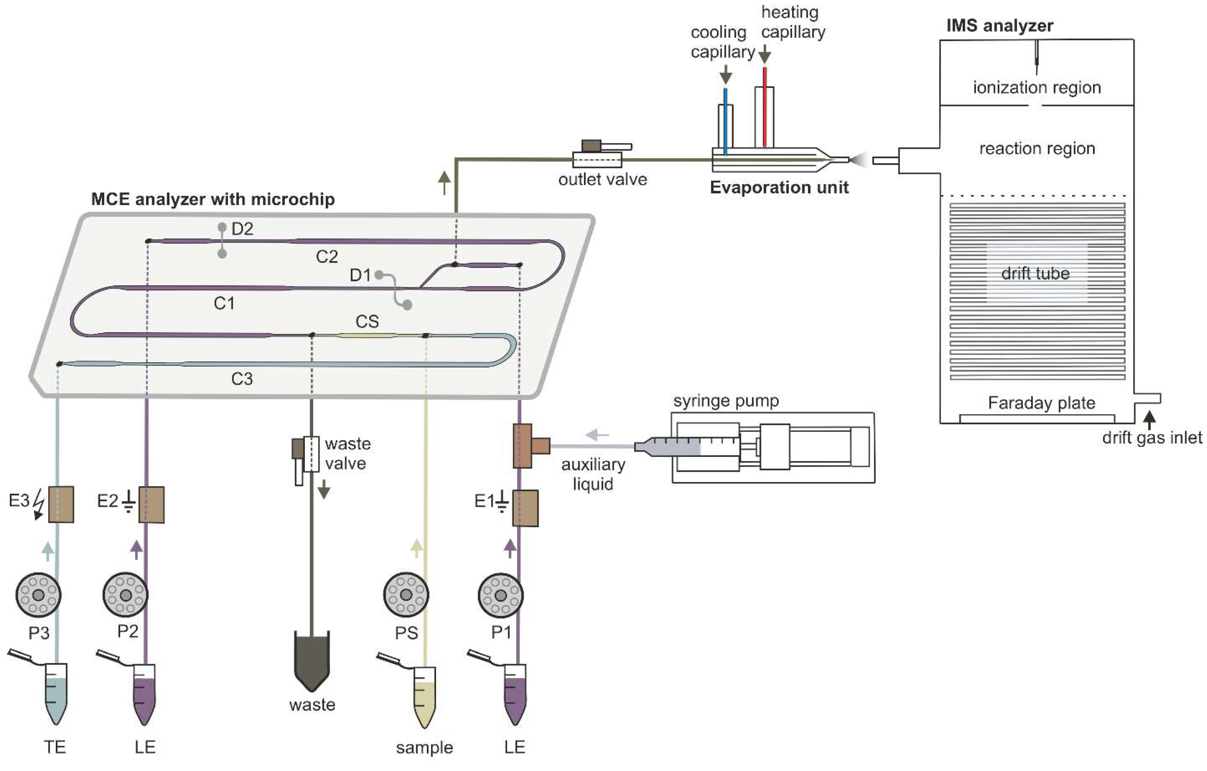 Molecules 26 06094 g001 550