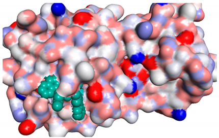 Molecules 26 06103 i006