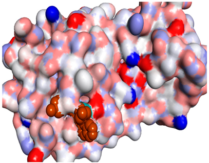 Molecules 26 06103 i012