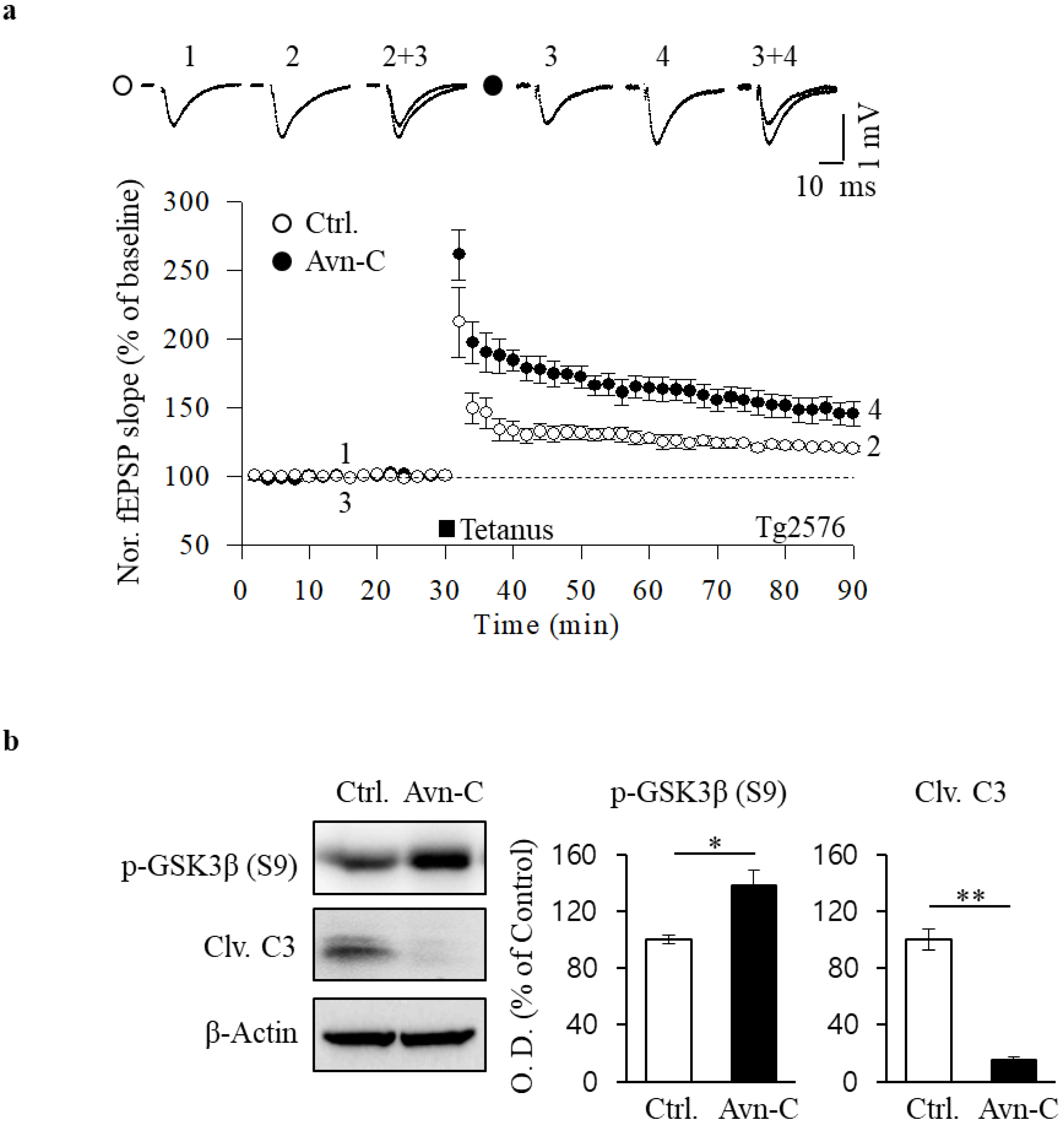 Molecules 26 06105 g005