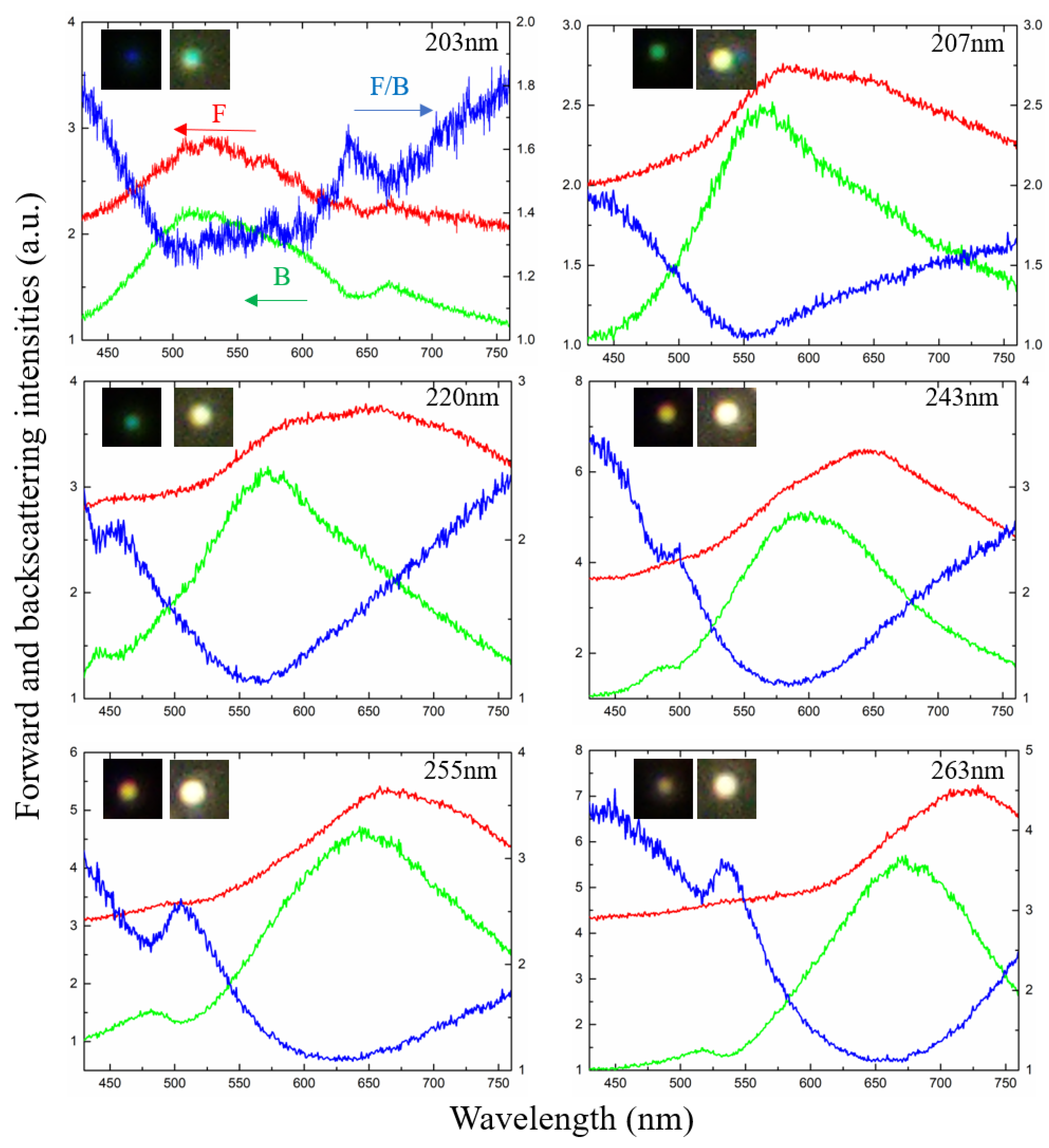 Molecules 26 06106 g004