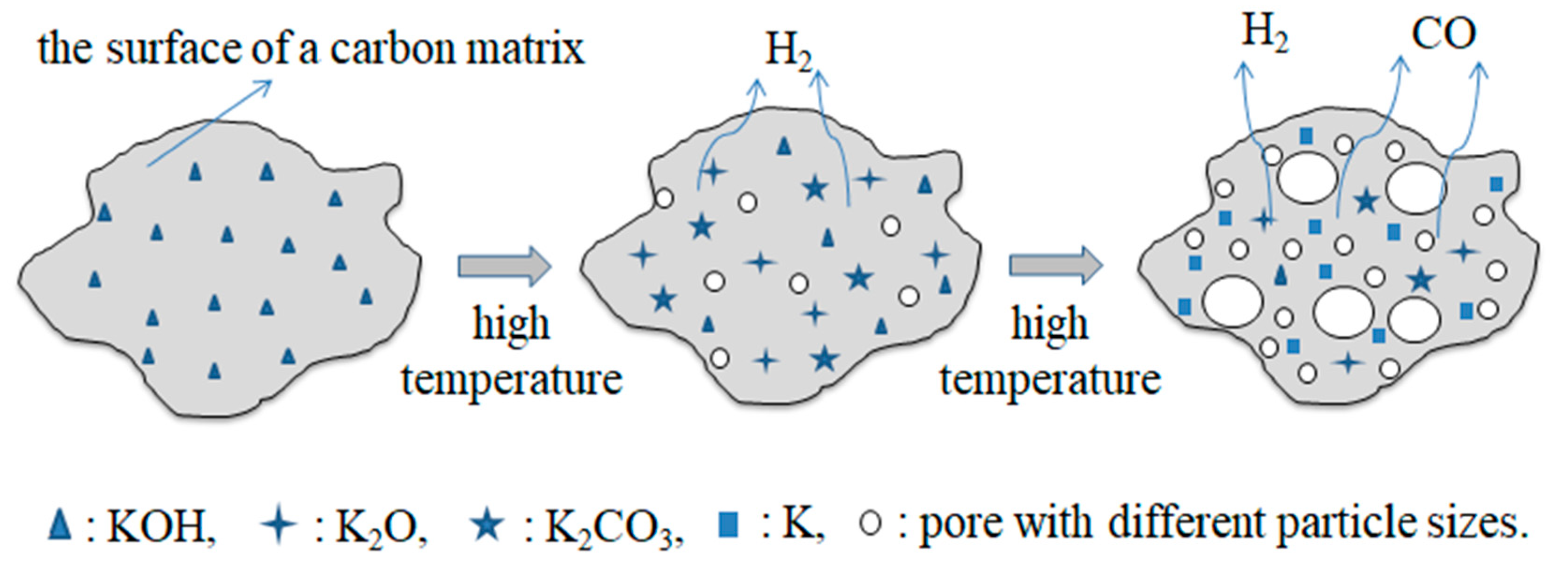 Molecules 26 06116 g001
