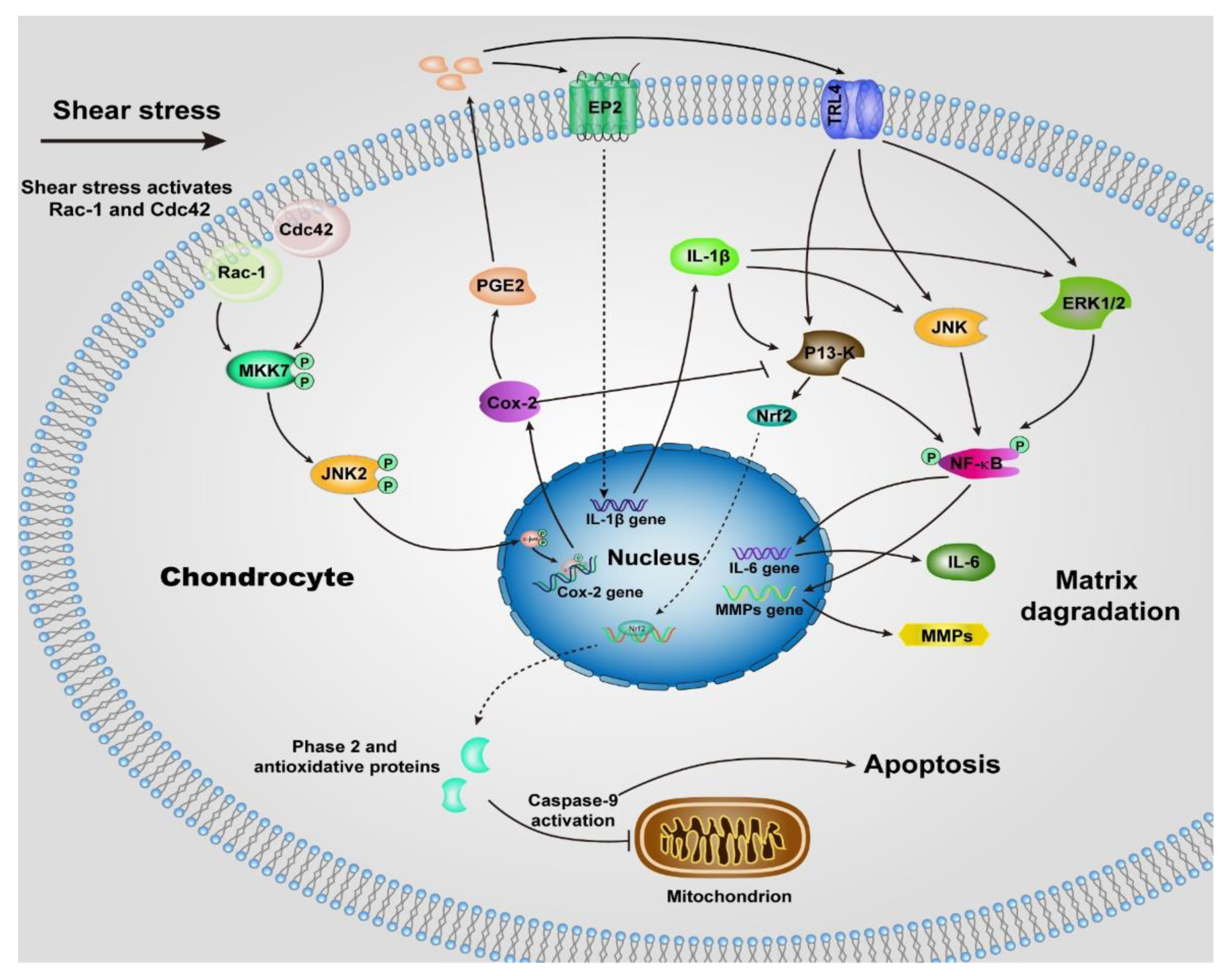 Molecules 26 06122 g002 550