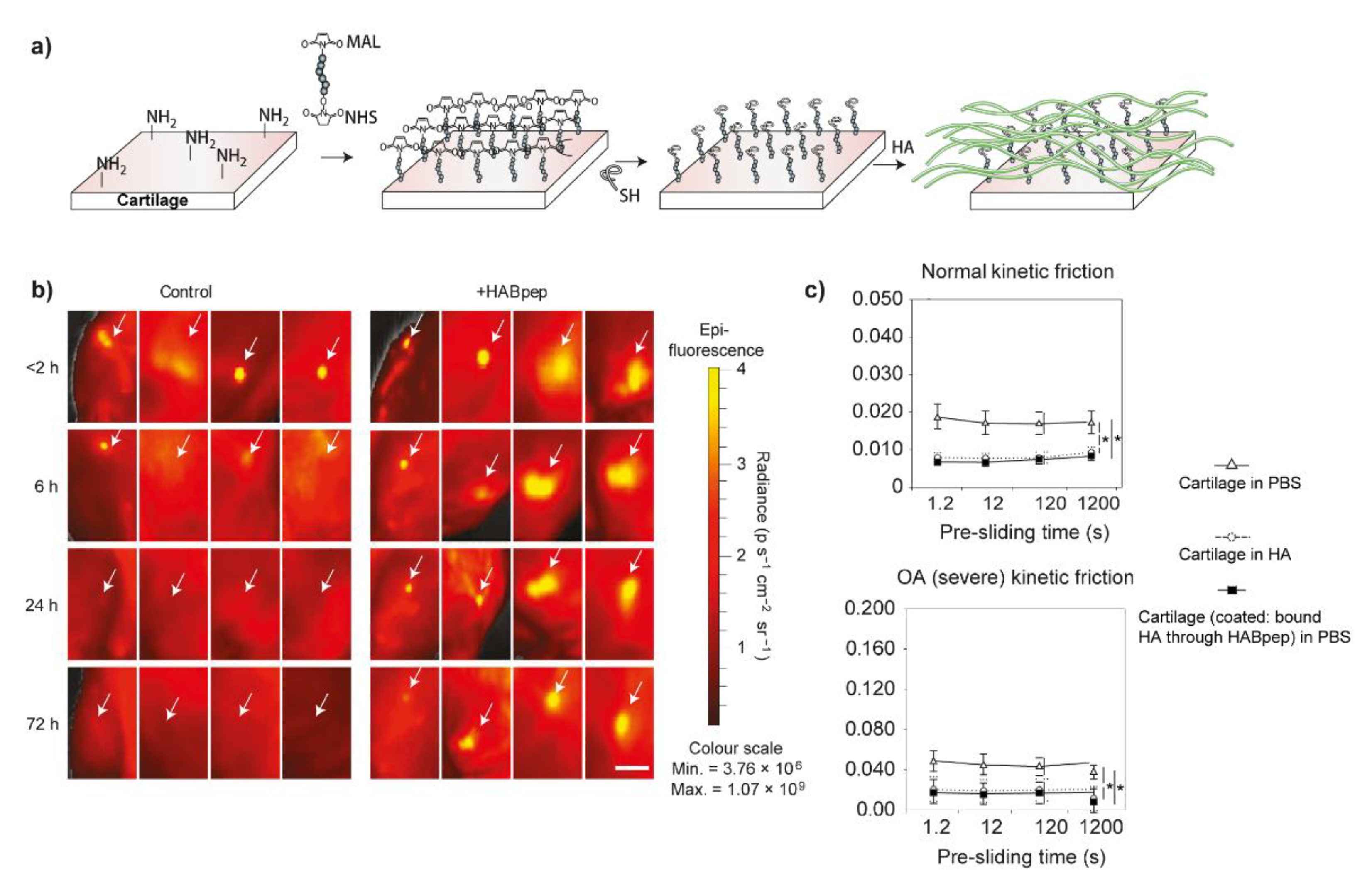 Molecules 26 06122 g004 550