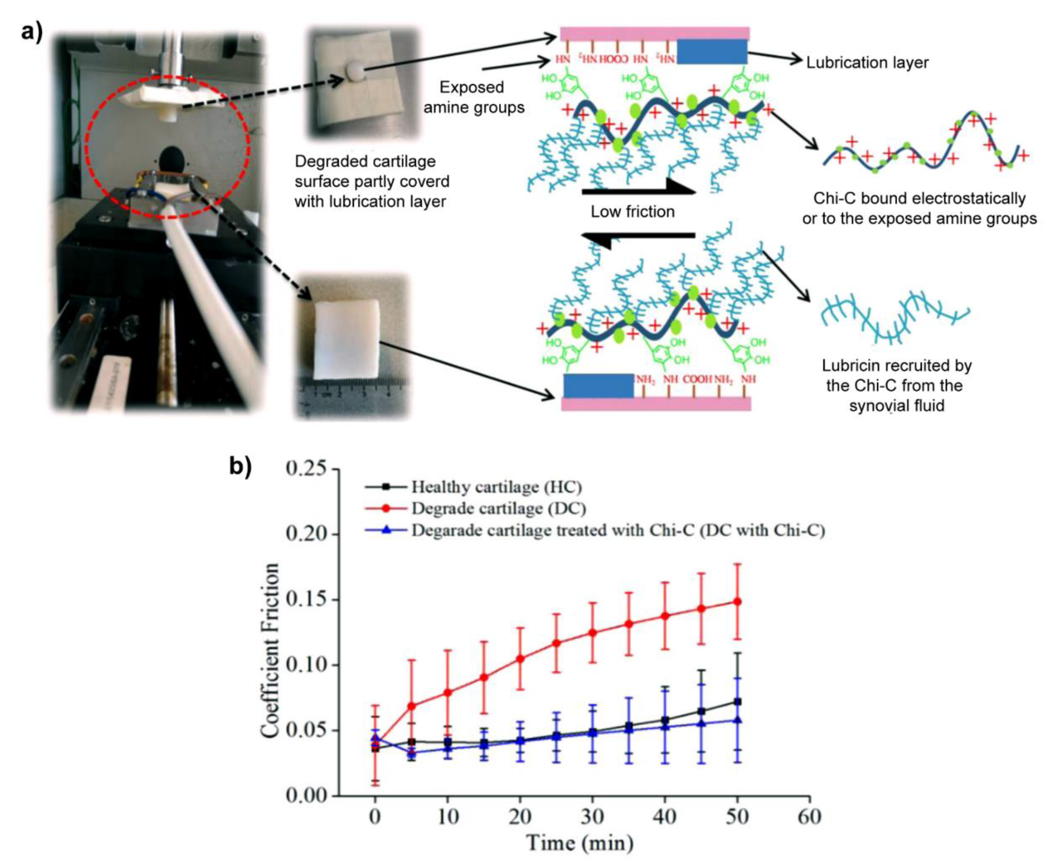 Molecules 26 06122 g005 550