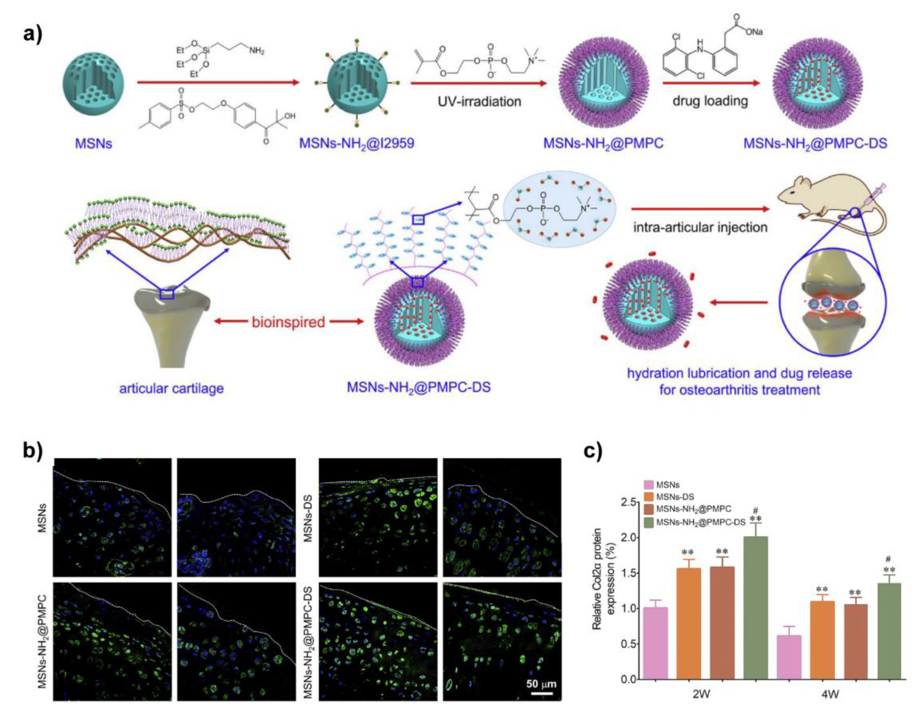 Molecules 26 06122 g007 550