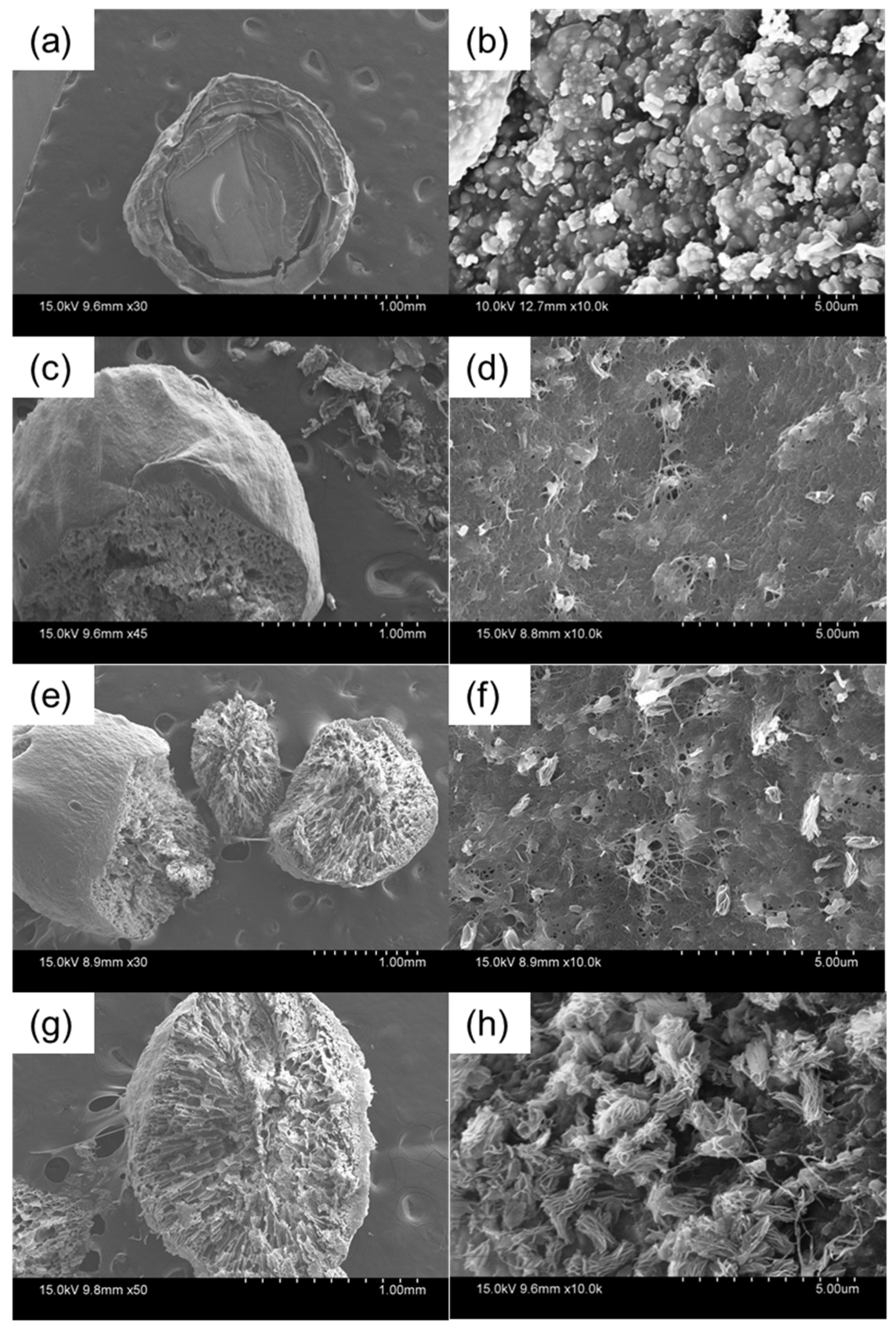 Molecules 26 06127 g001 Molecules 26 06127 g001