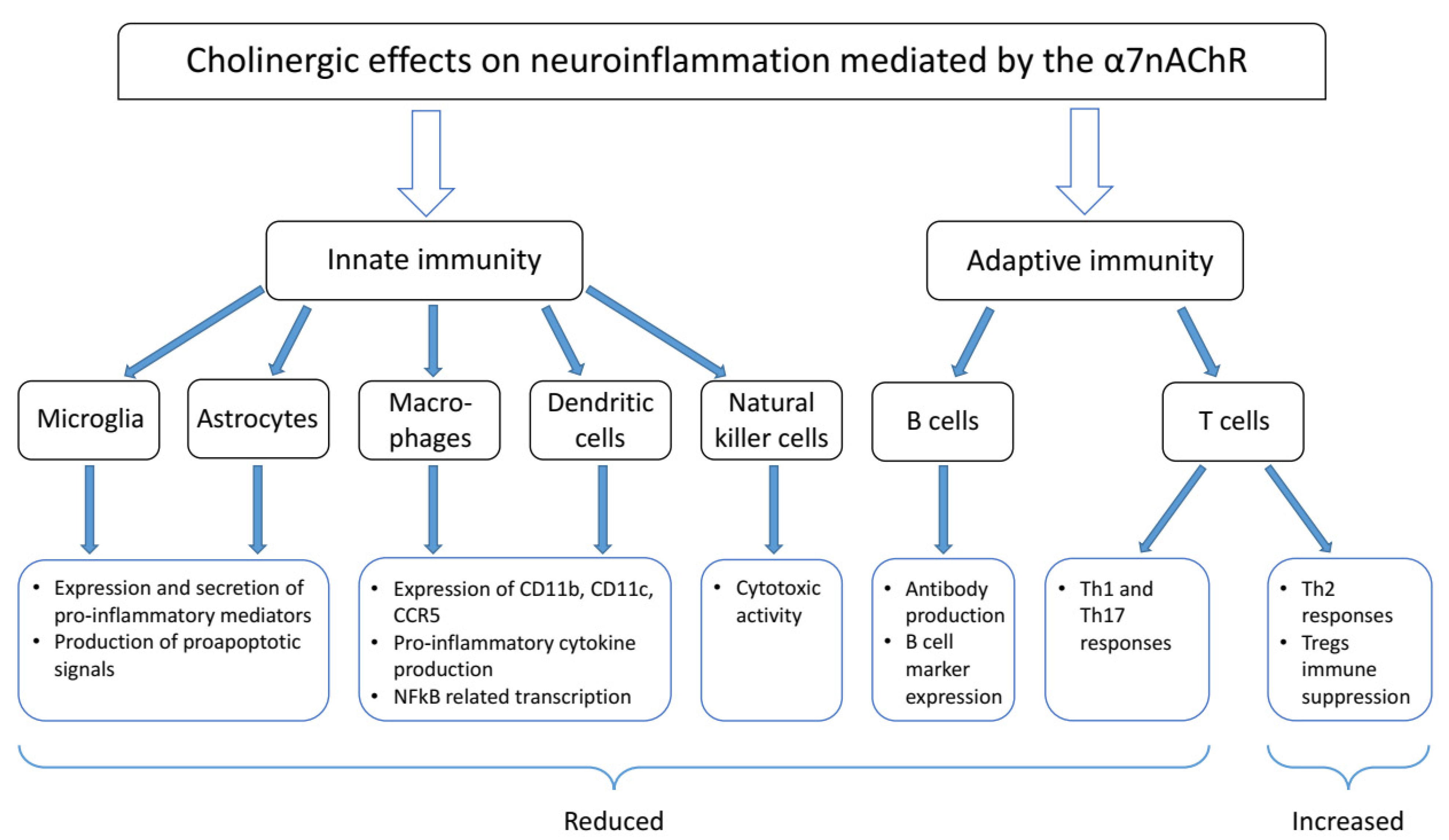 Molecules 26 06139 g002