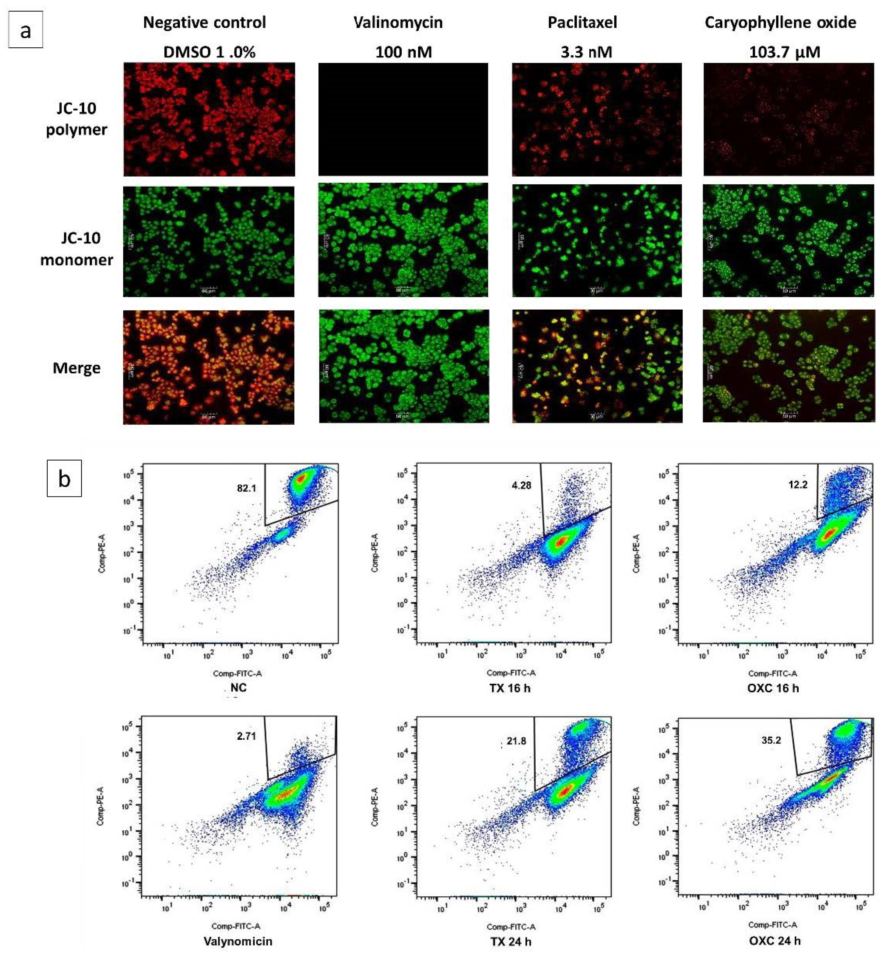 Molecules 26 06142 g006