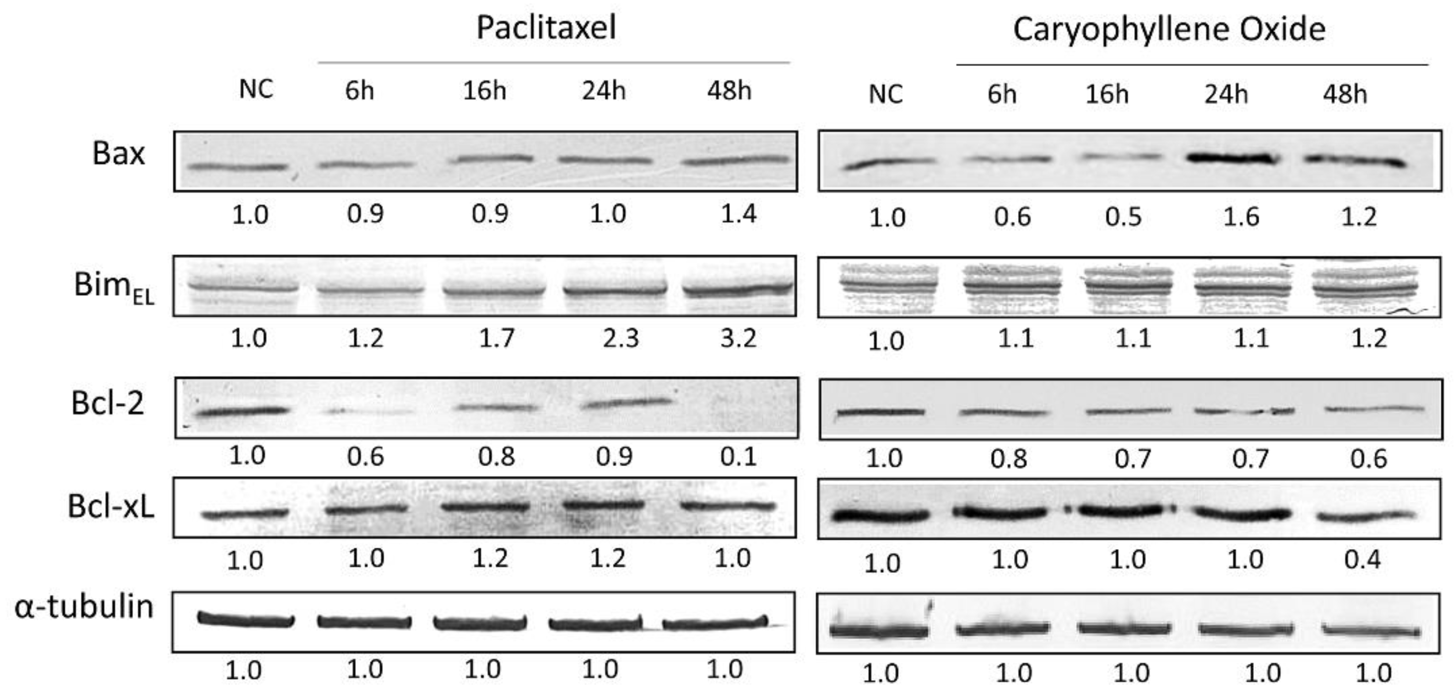 Molecules 26 06142 g007