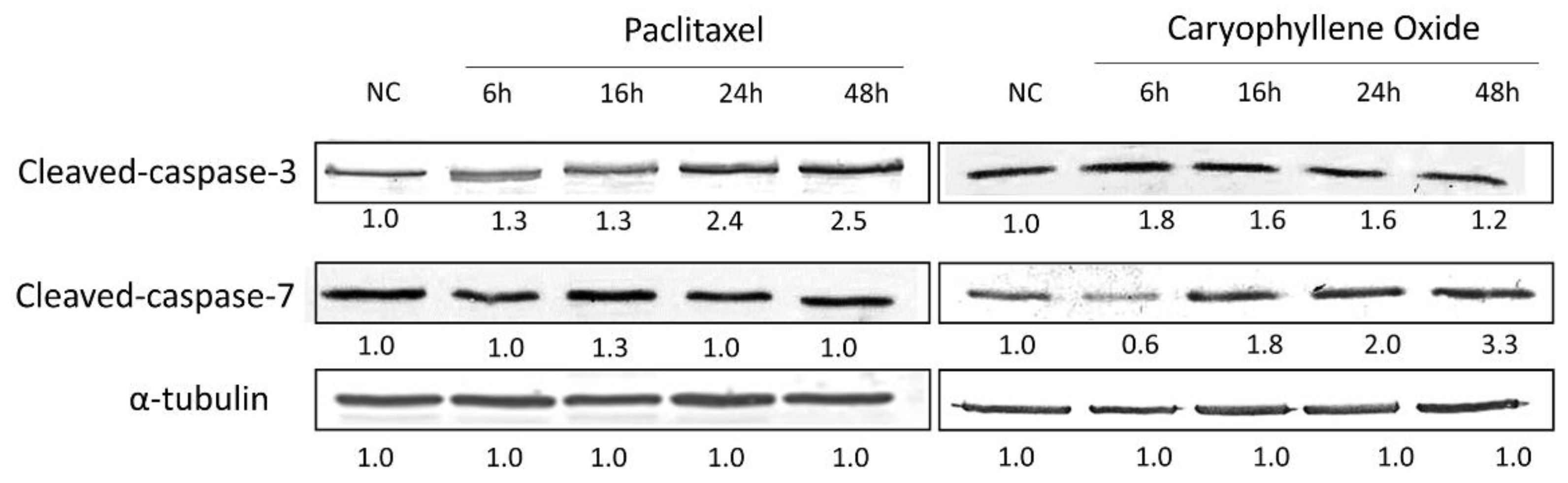 Molecules 26 06142 g008