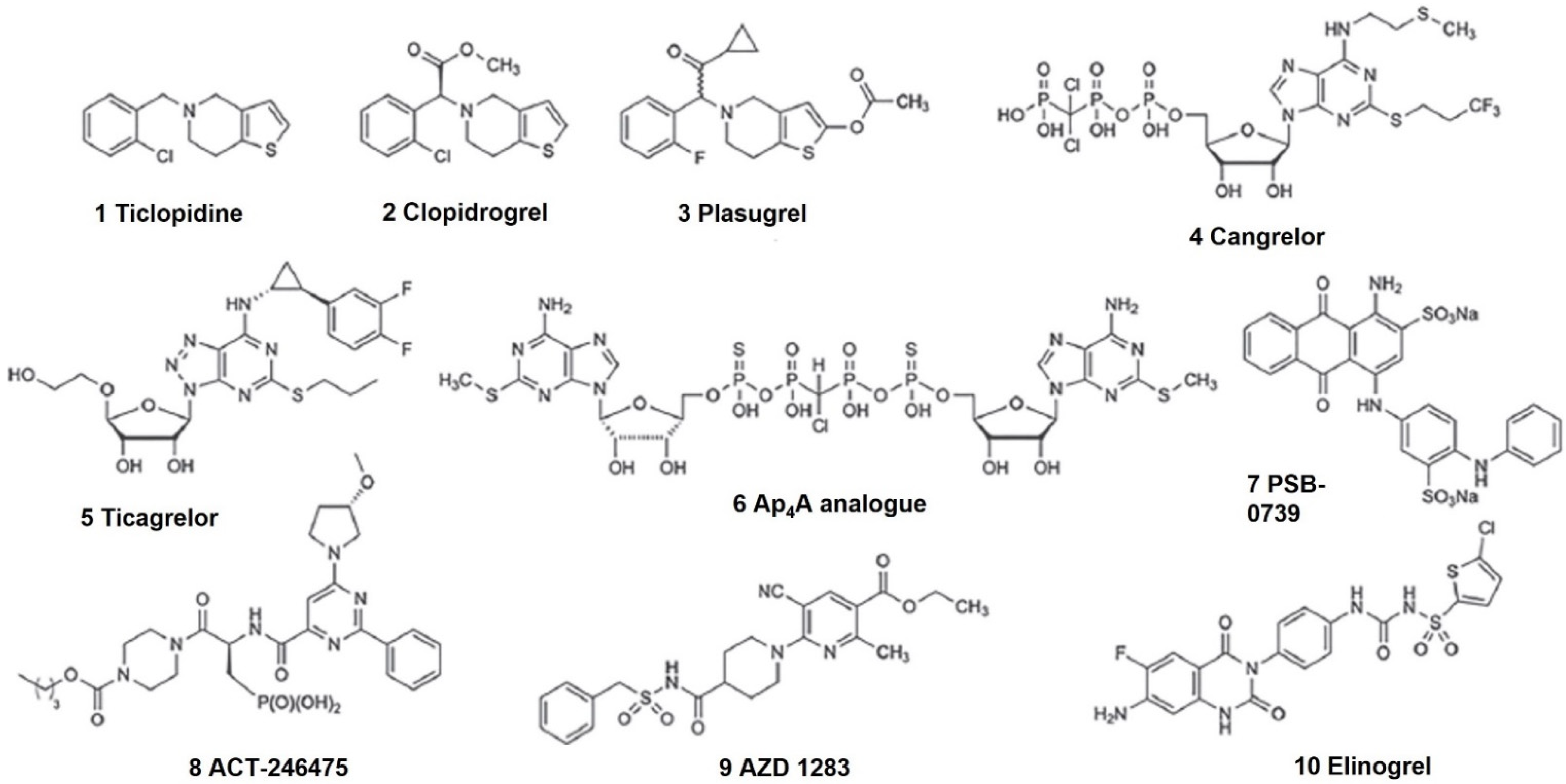 Molecules 26 06146 g001