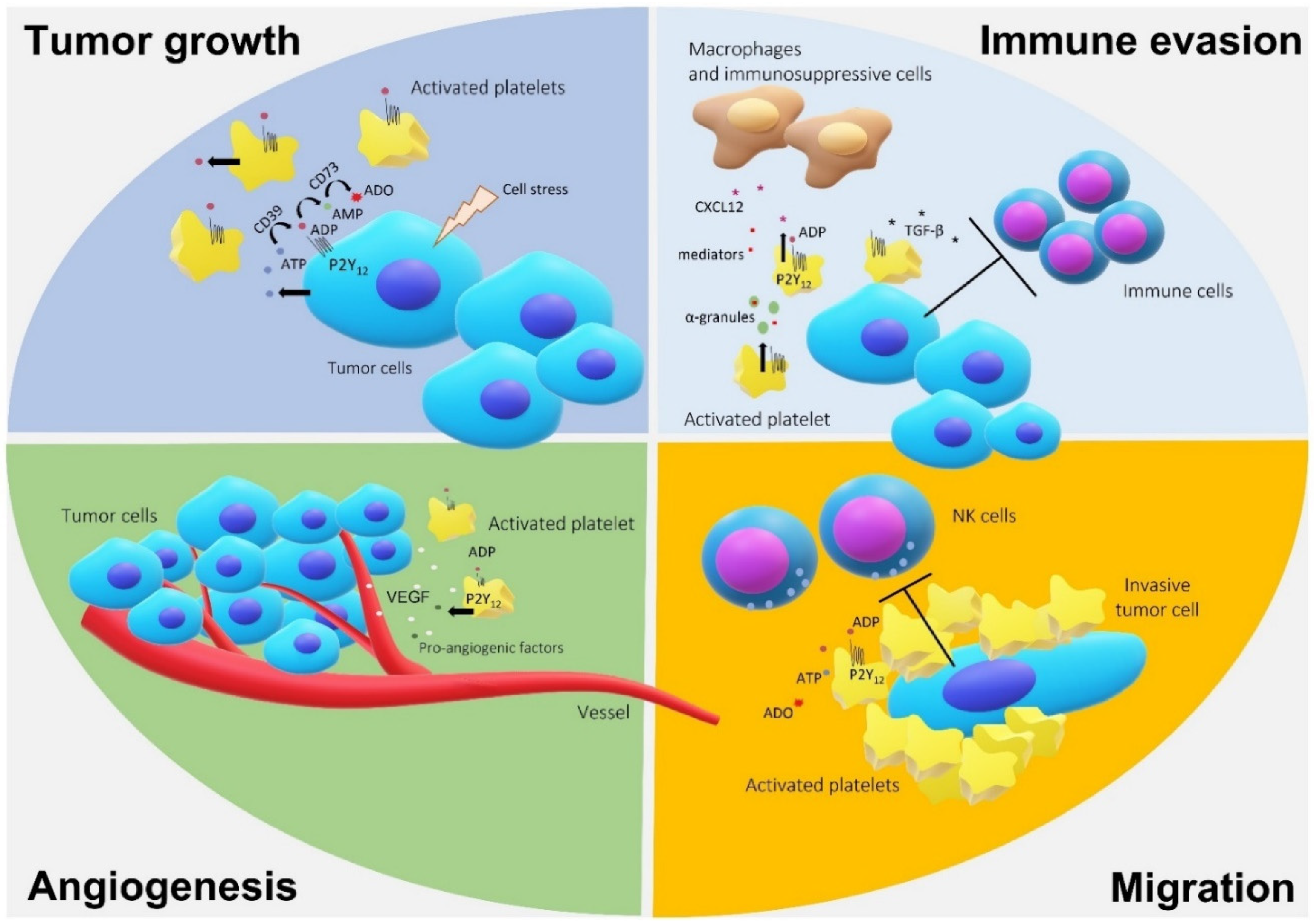 Molecules 26 06146 g002