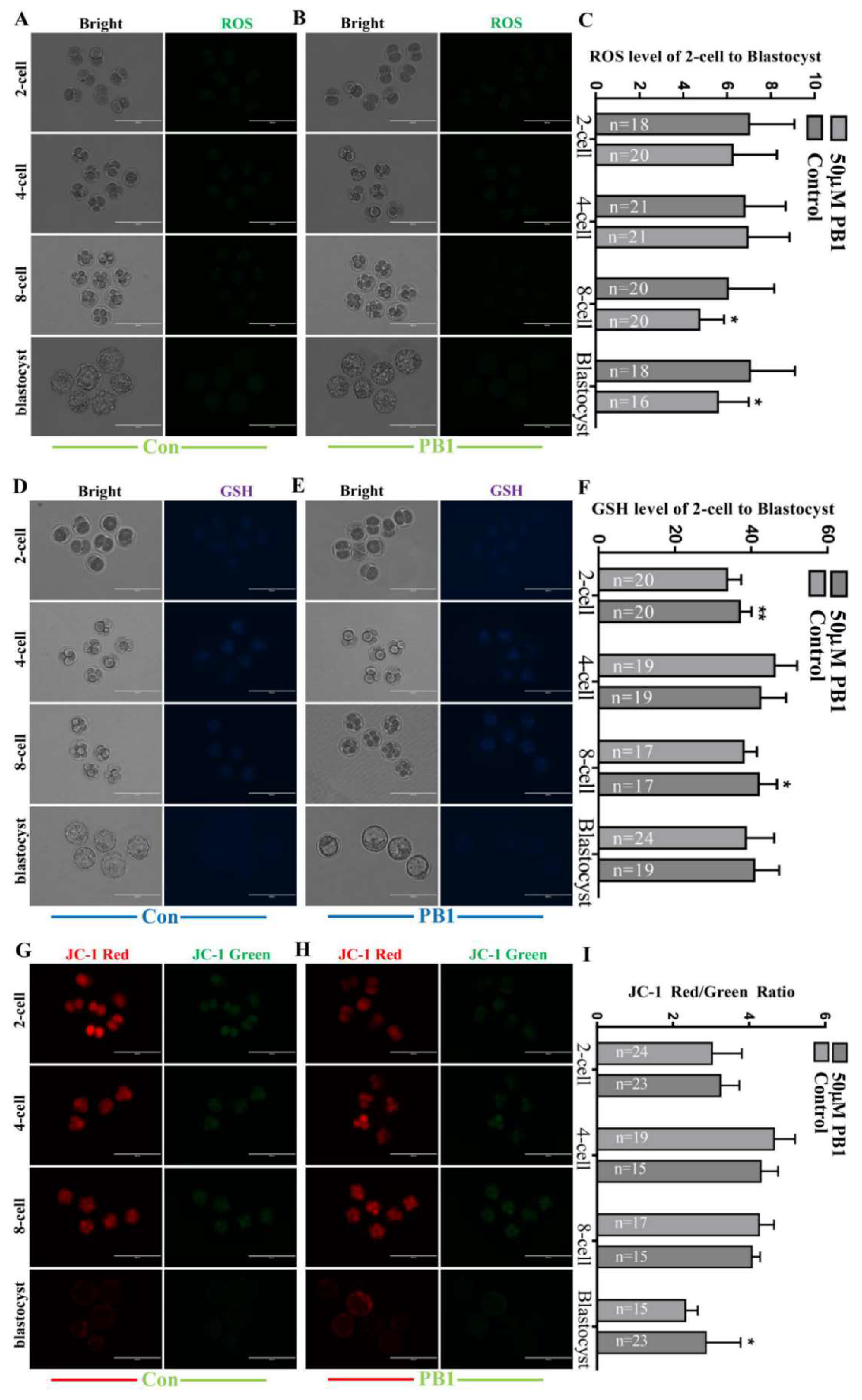 Molecules 26 06150 g002 Molecules 26 06150 g002