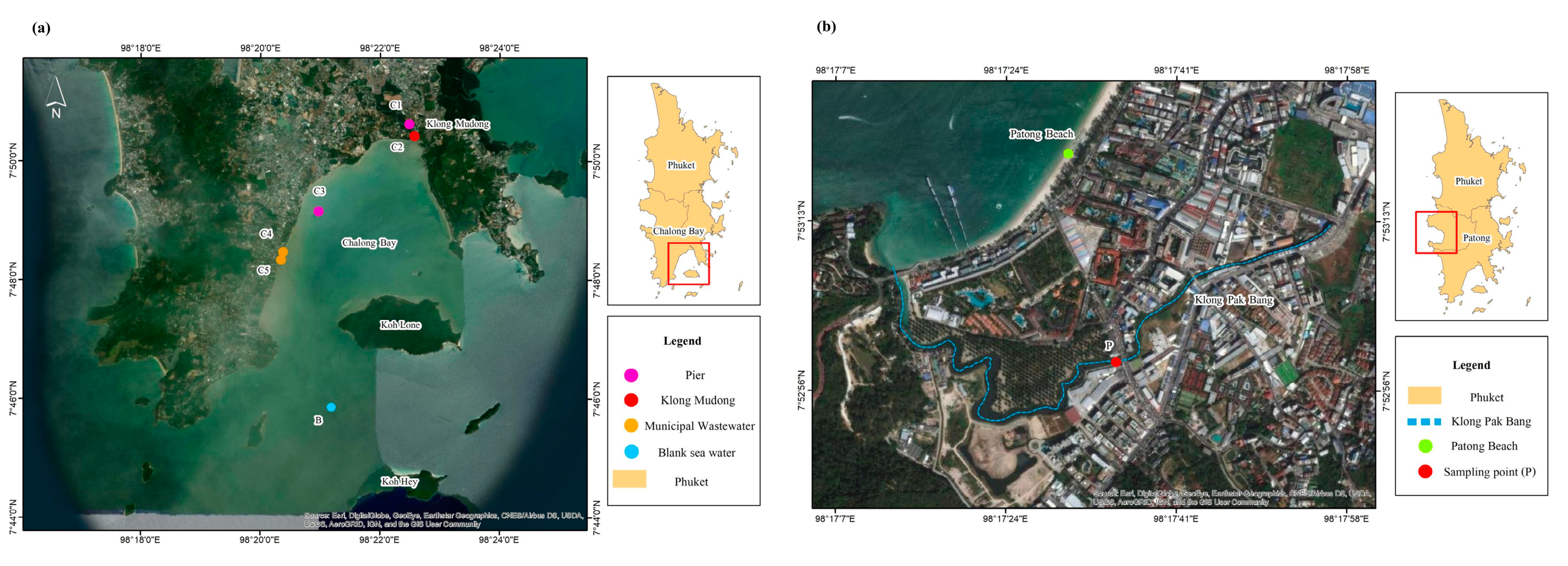 Molecules 26 06163 g007