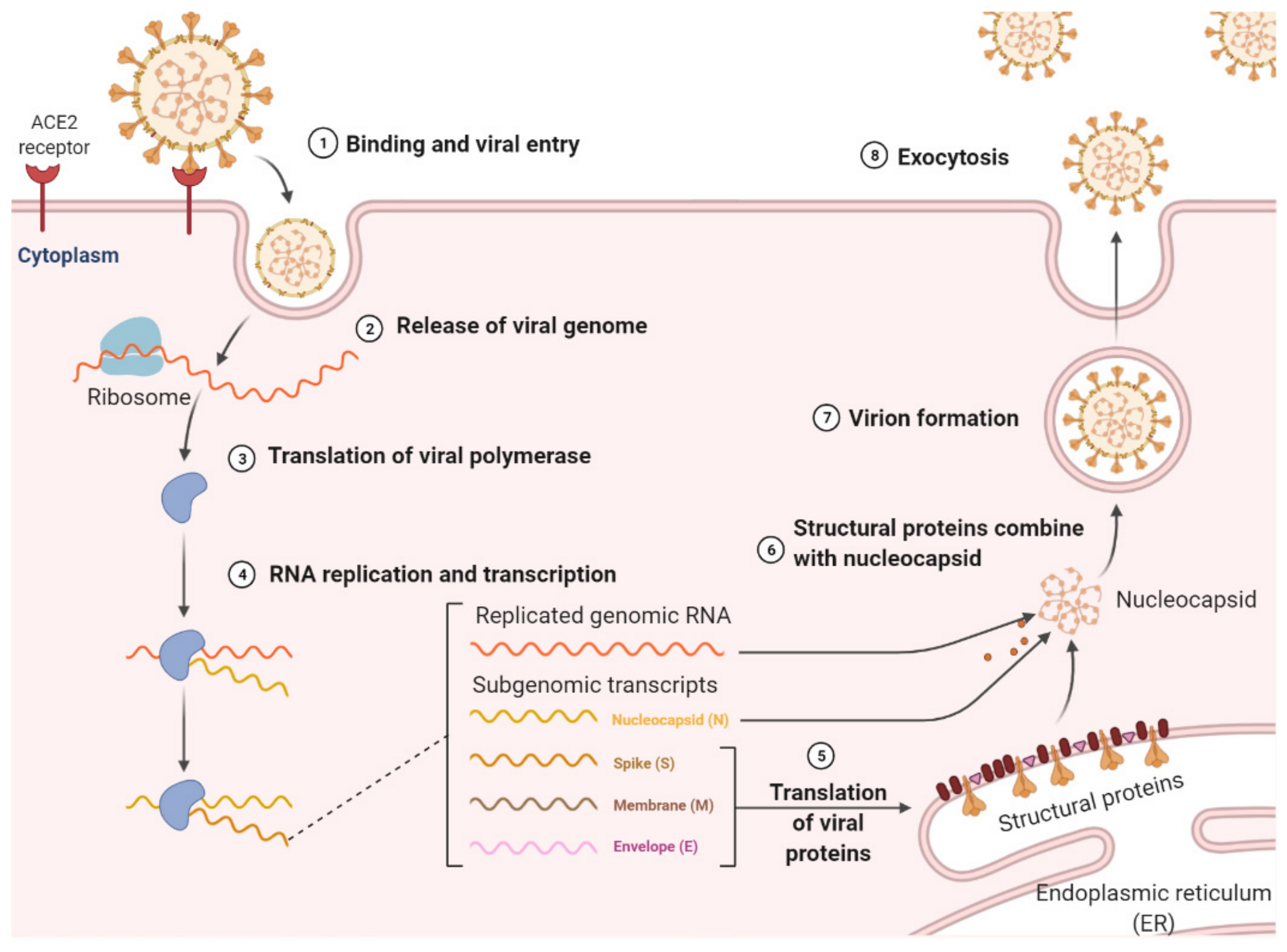 Molecules 26 06171 g001