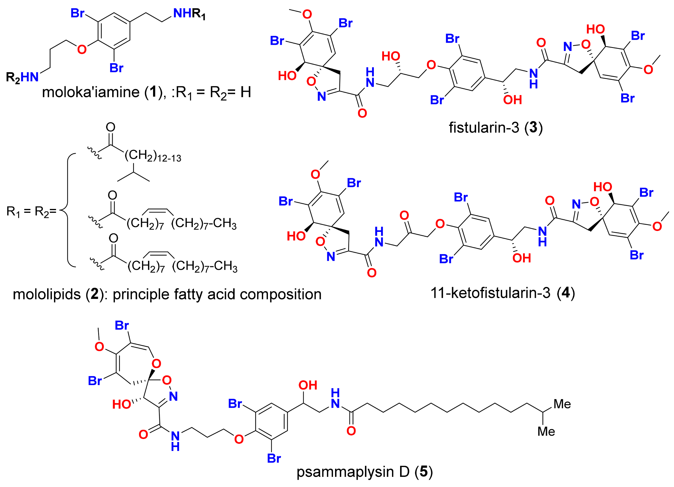 Molecules 26 06171 g002
