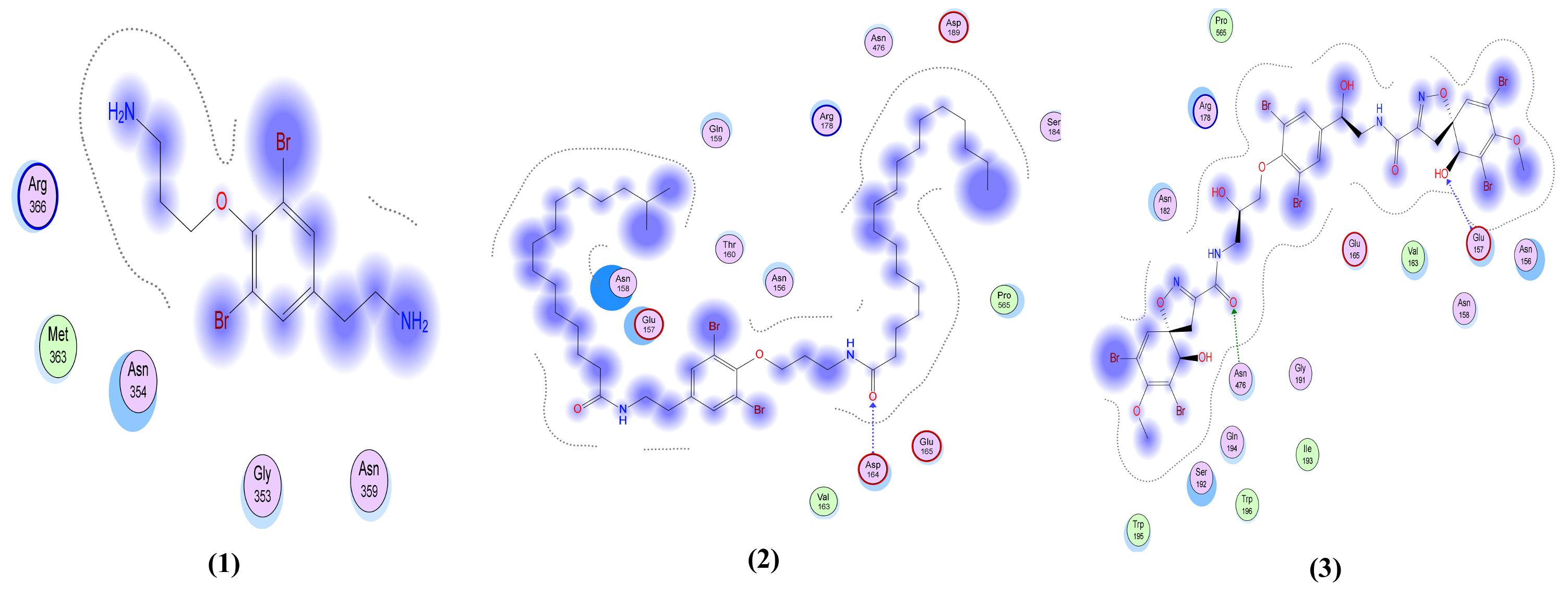 Molecules 26 06171 g007a
