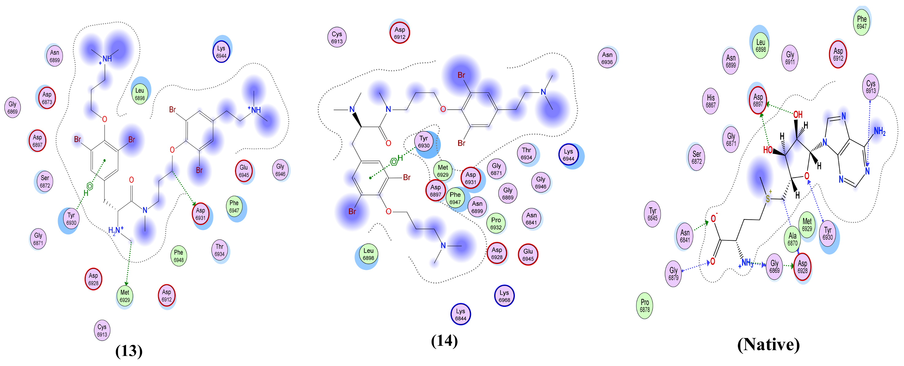 Molecules 26 06171 g008c