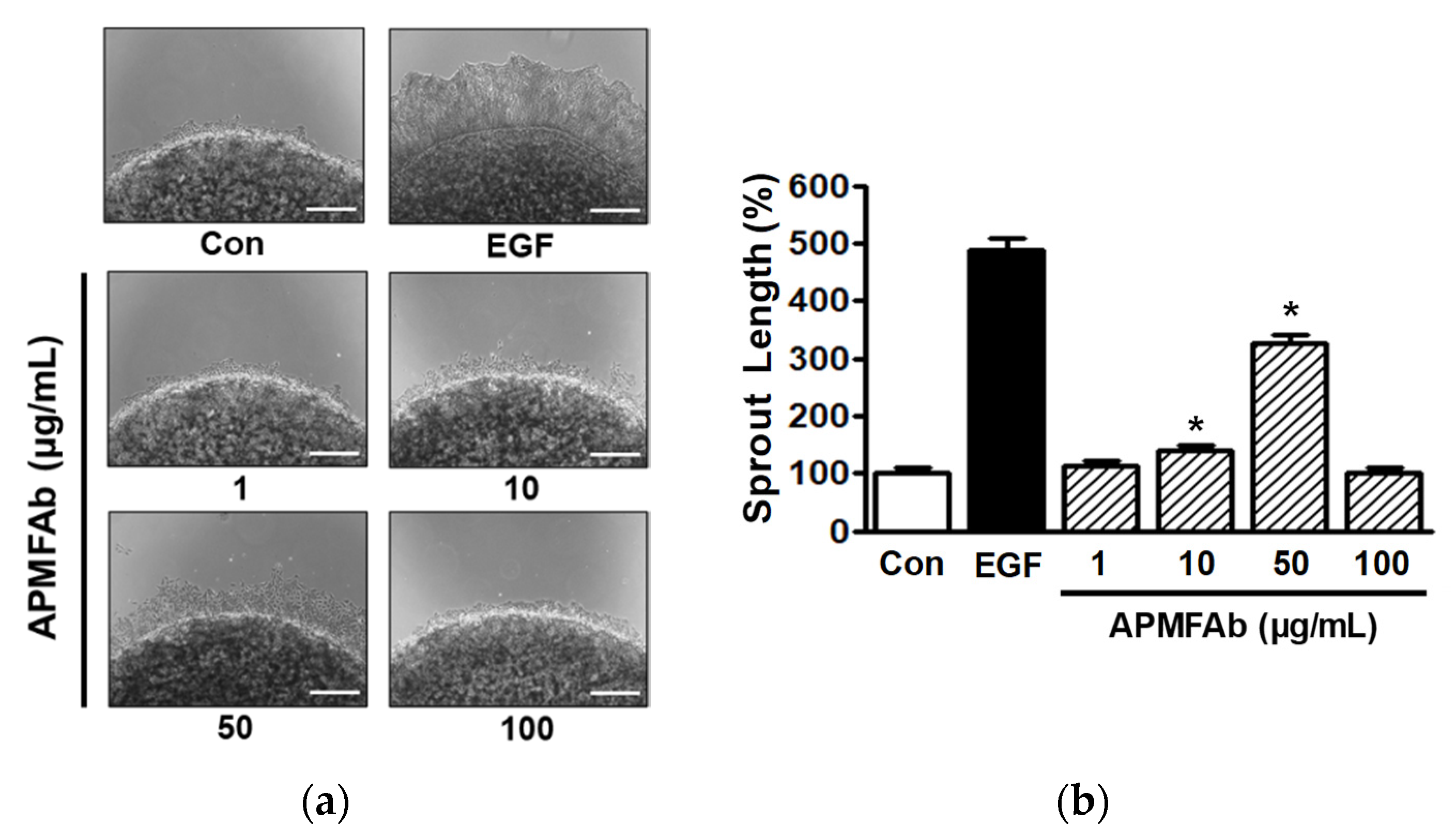 Molecules 26 06172 g002 550